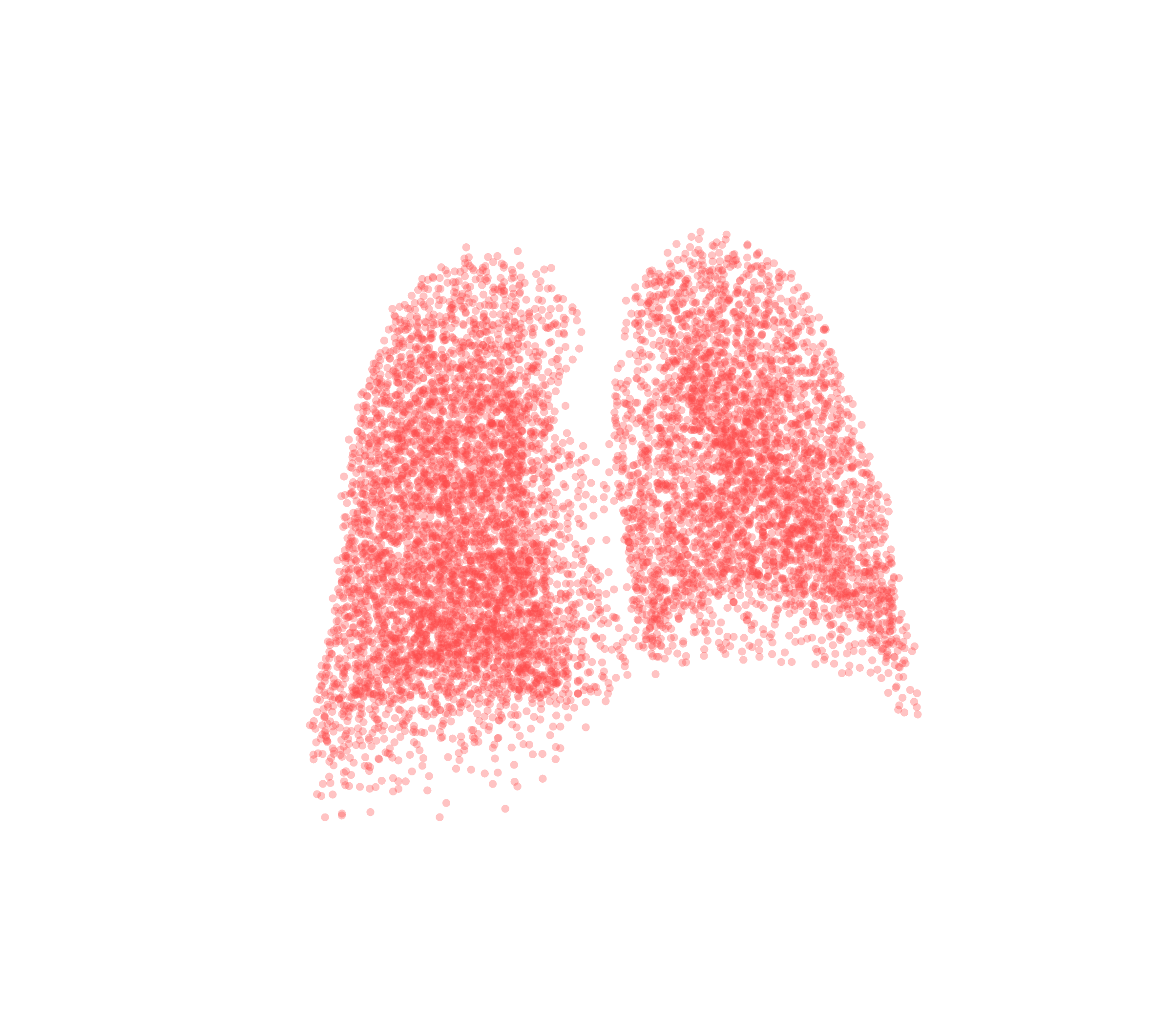 Point Cloud (Expiration) - Back View