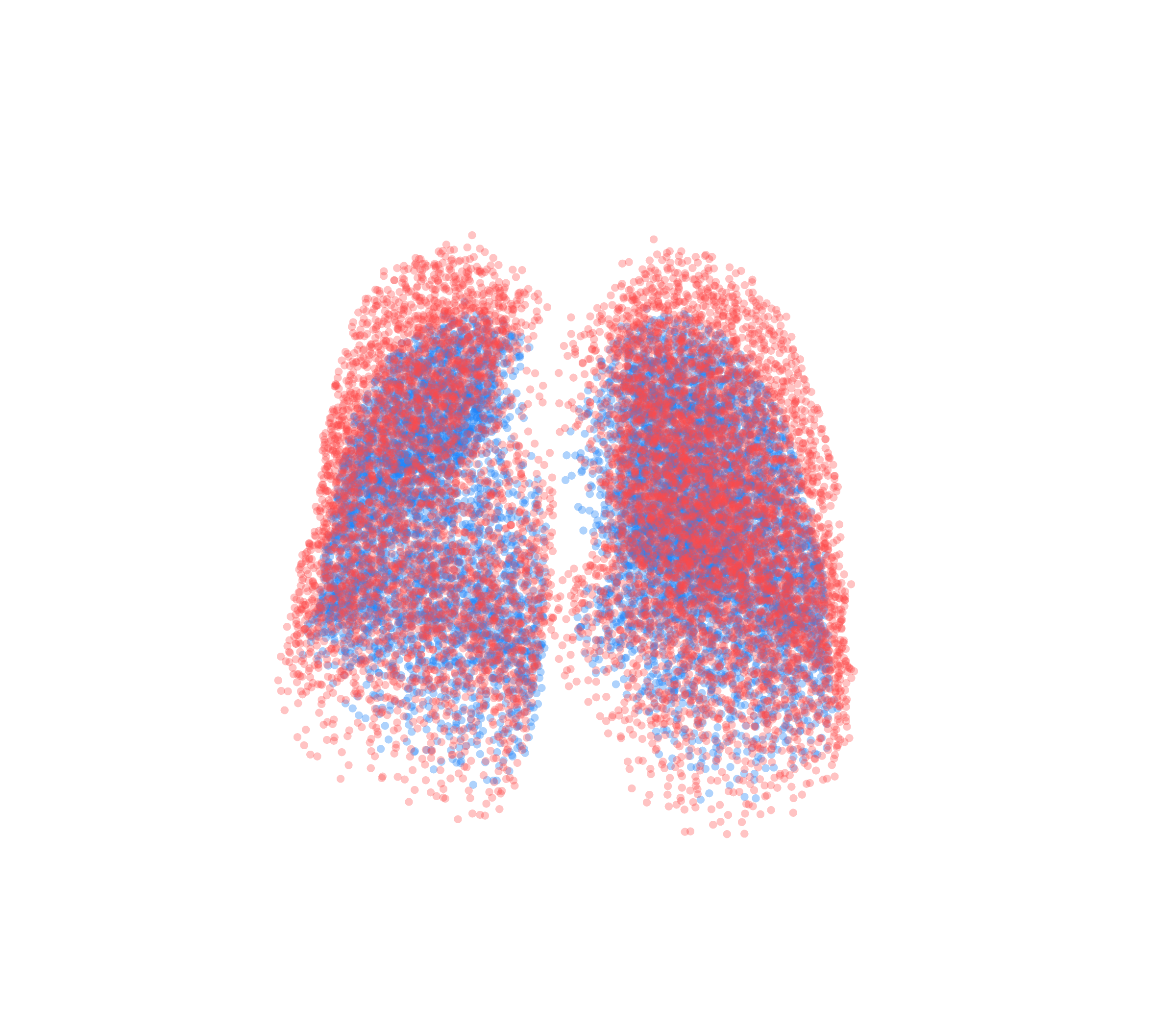 Point Cloud - Front View