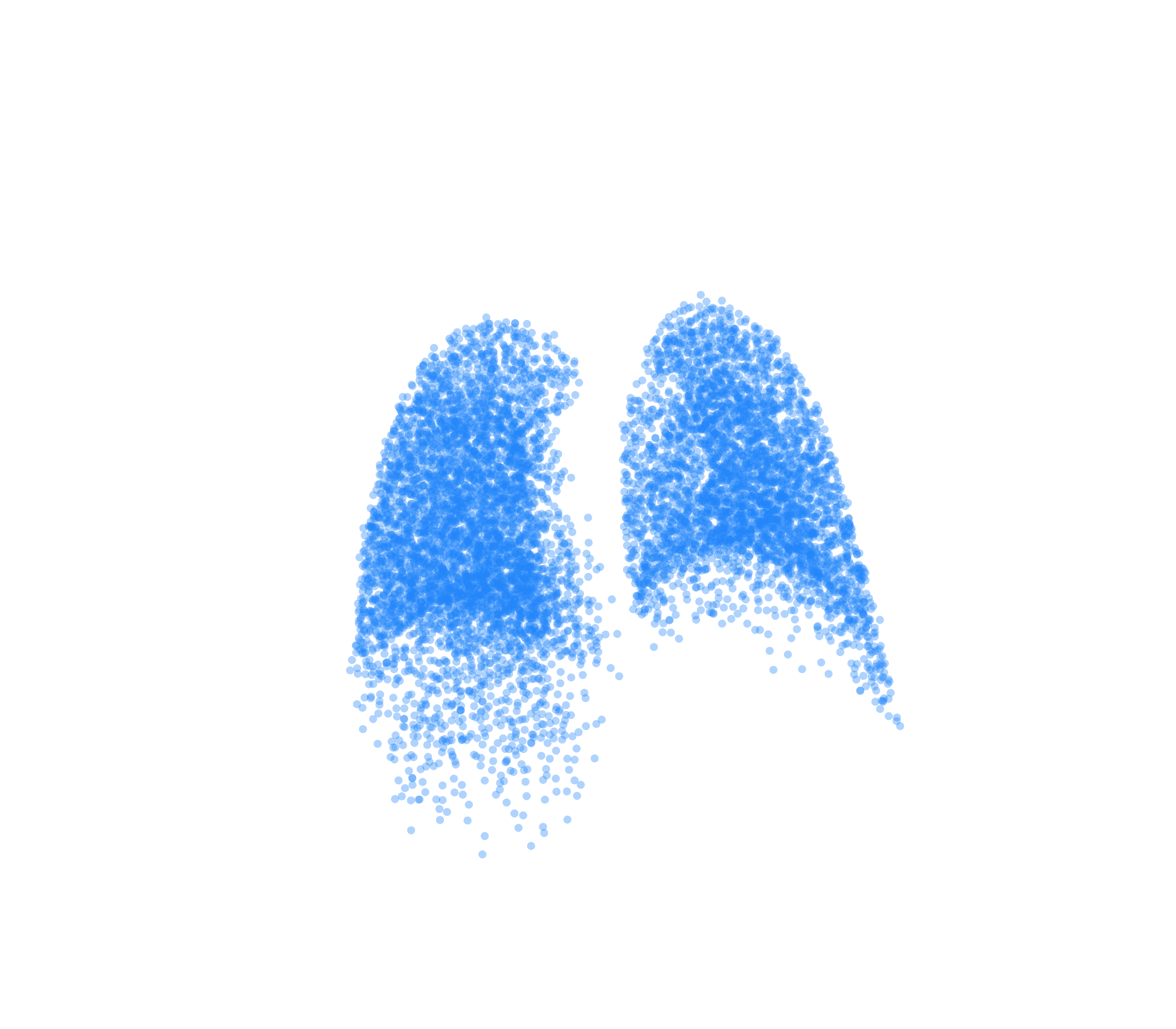 Point Cloud (Inspiration) - Back View