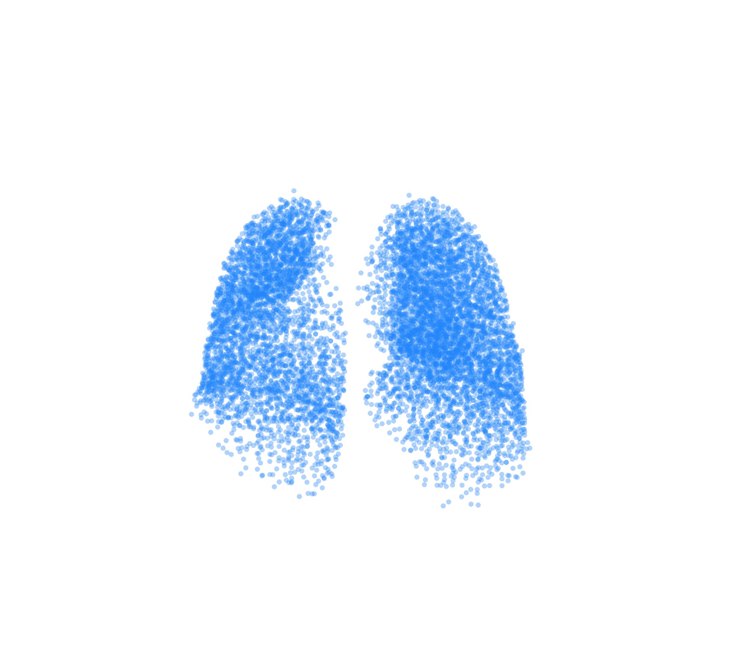 Point Cloud (Inspiration) - Front View