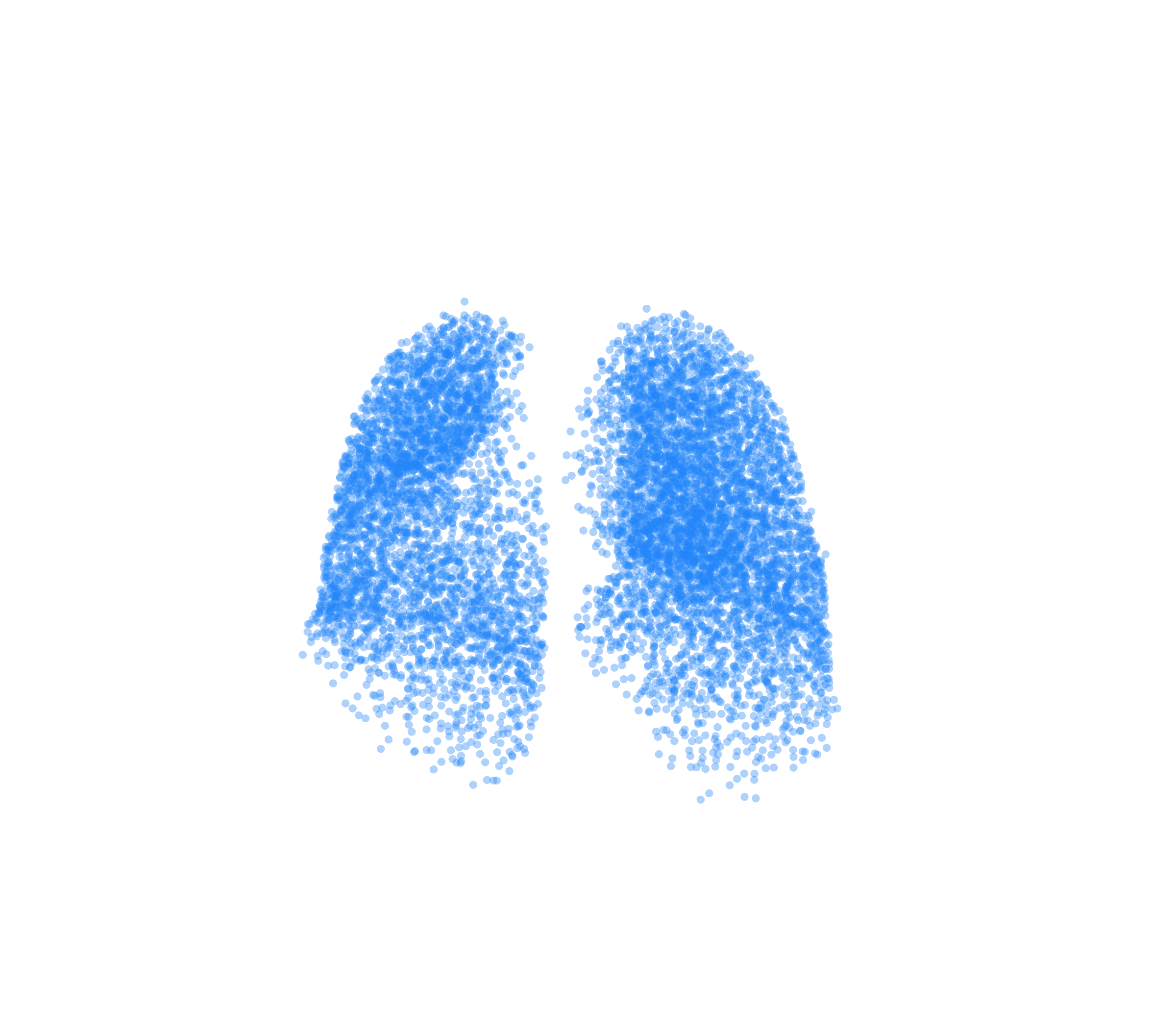 Point Cloud (Inspiration) - Front View