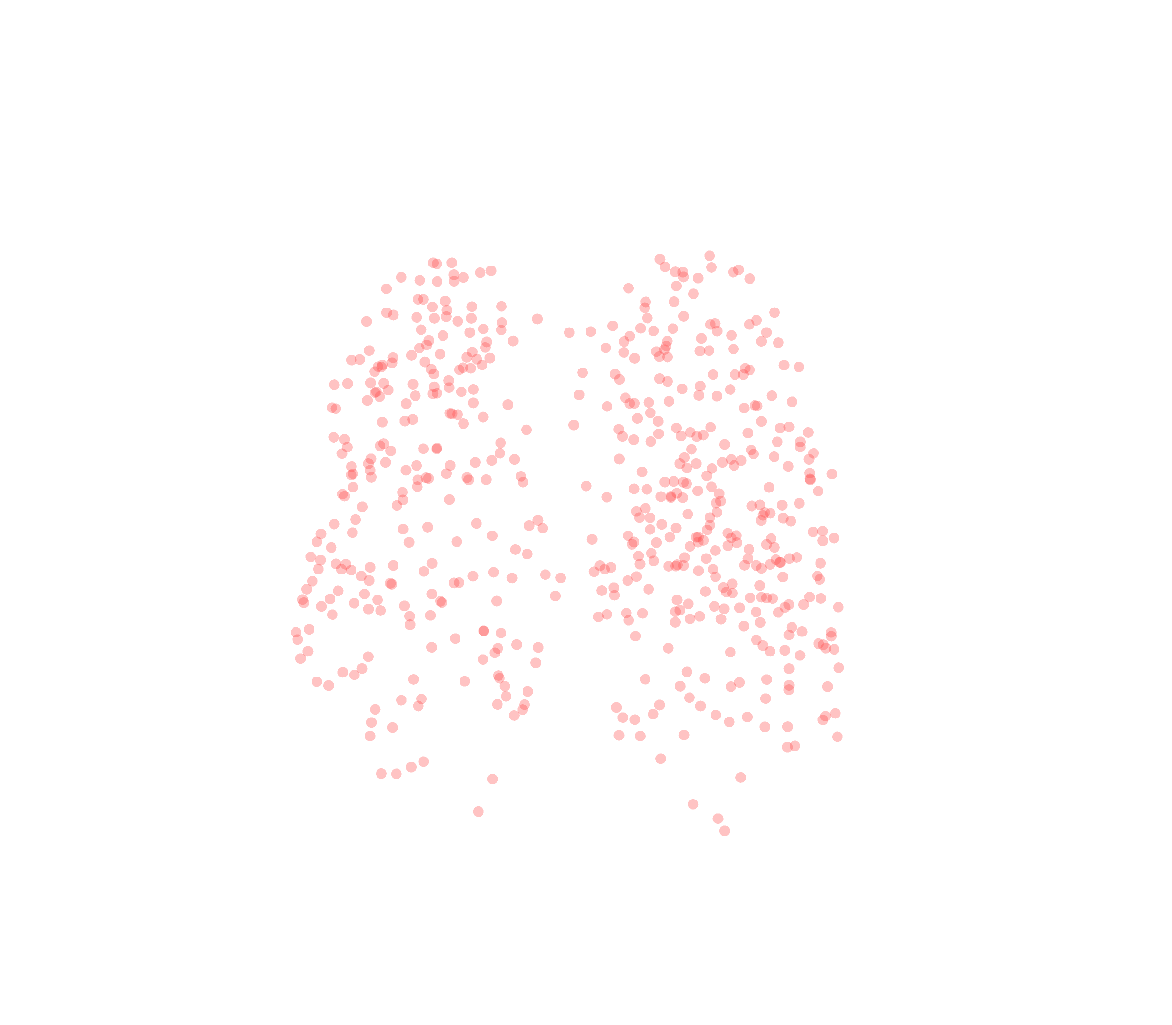 Displacement Vectors (Expiration) - Front View
