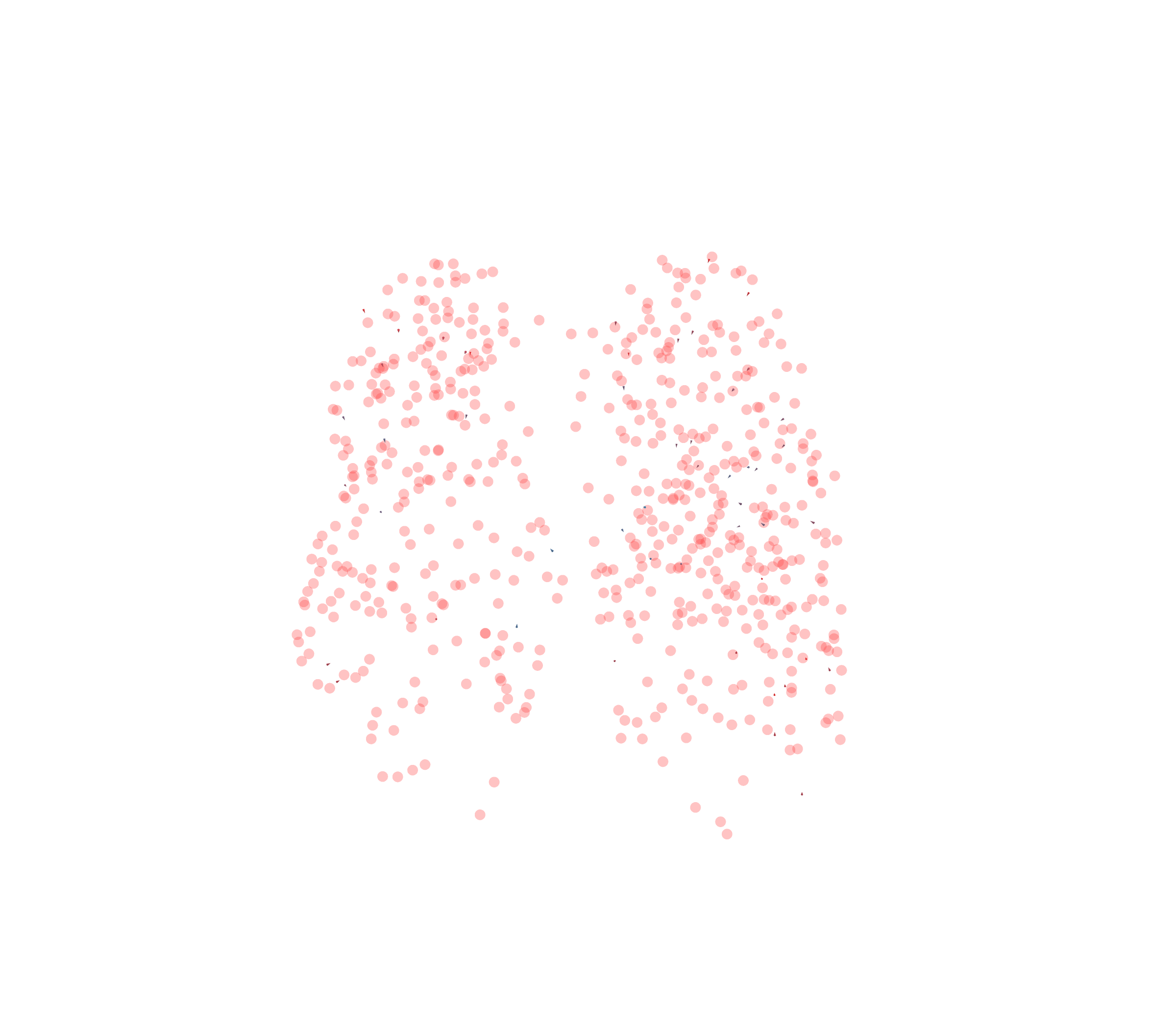 Displacement Vectors - Front View