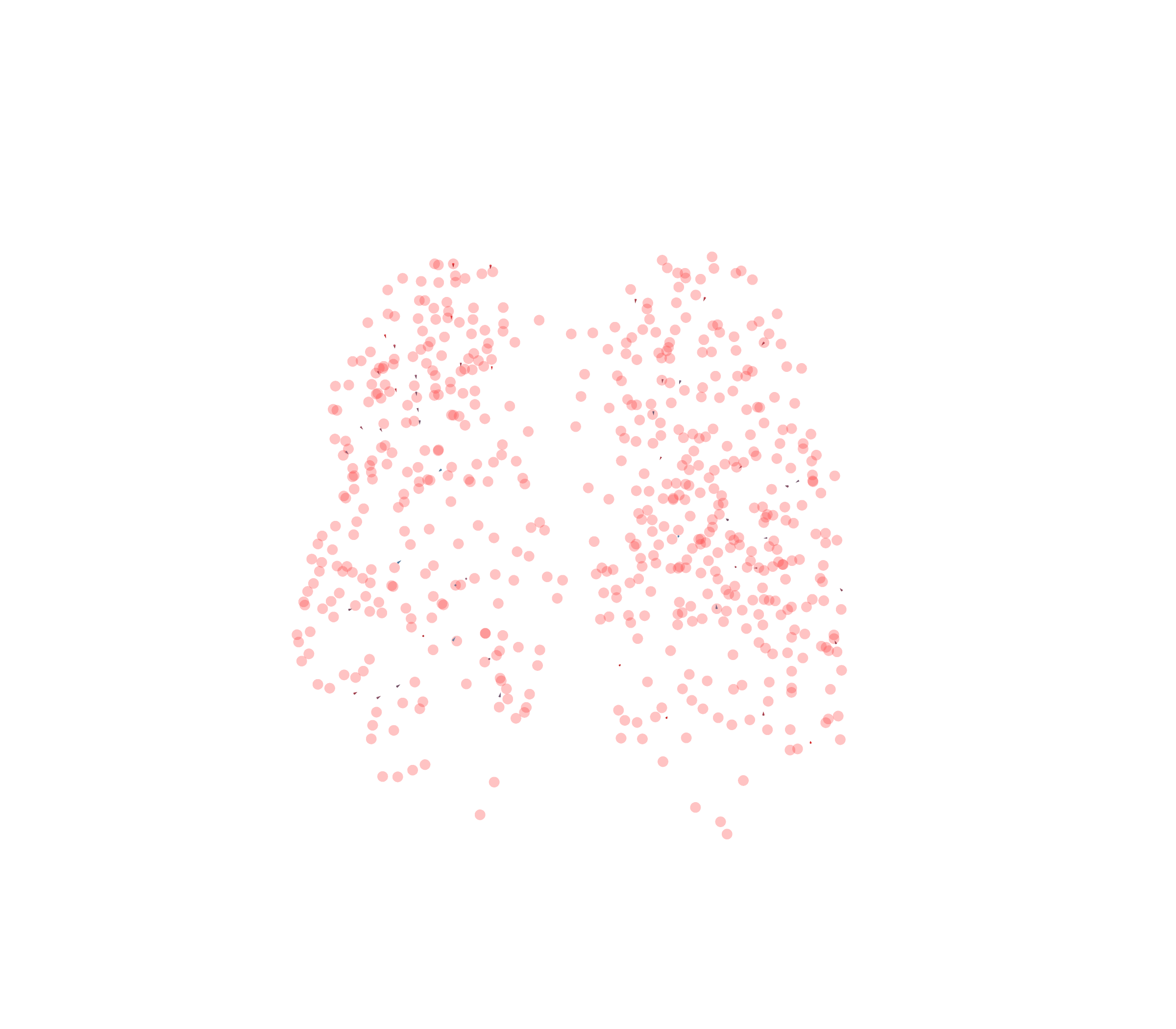Displacement Vectors - Front View