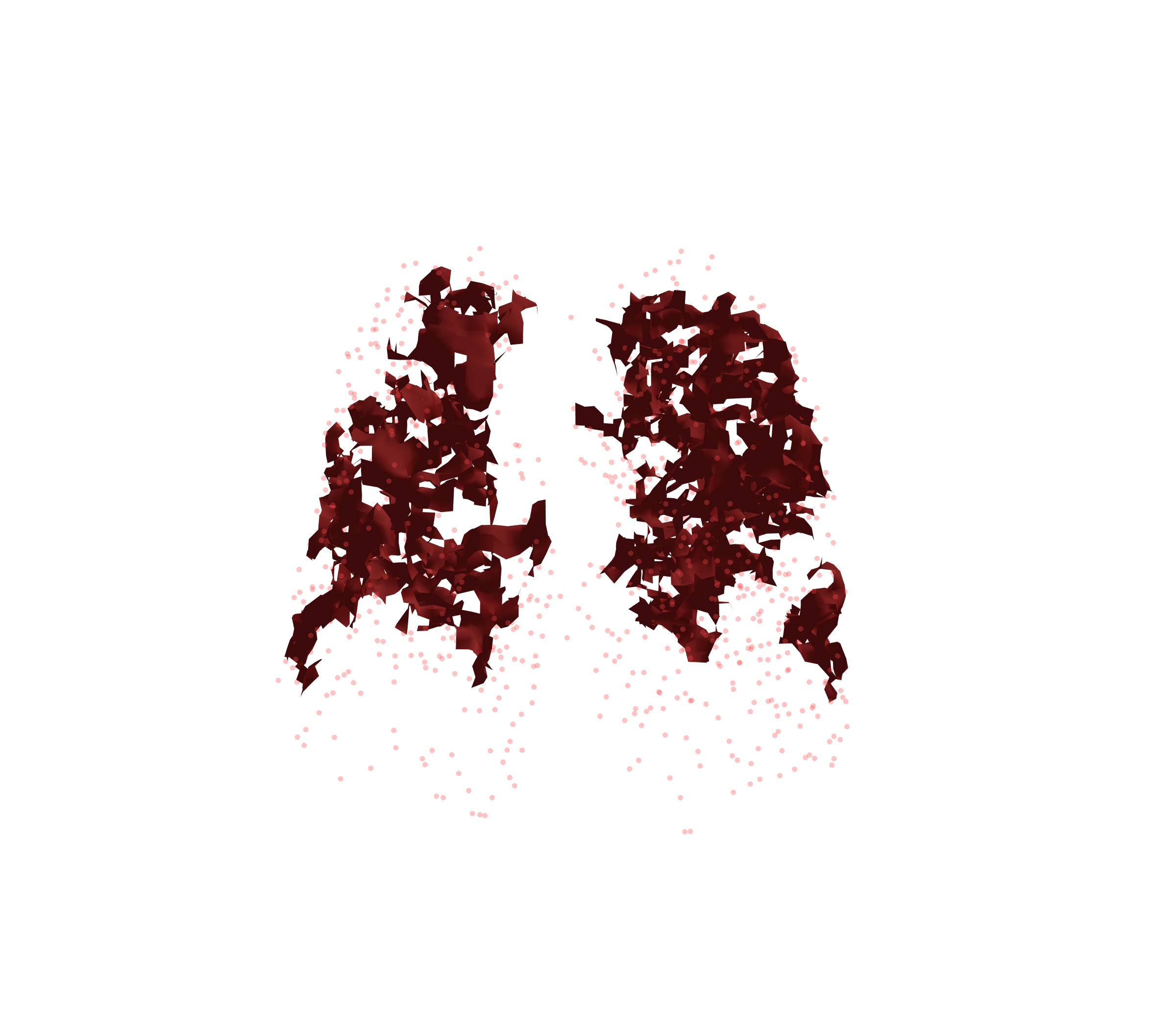 Combined Visualization (Expiration) - Front View