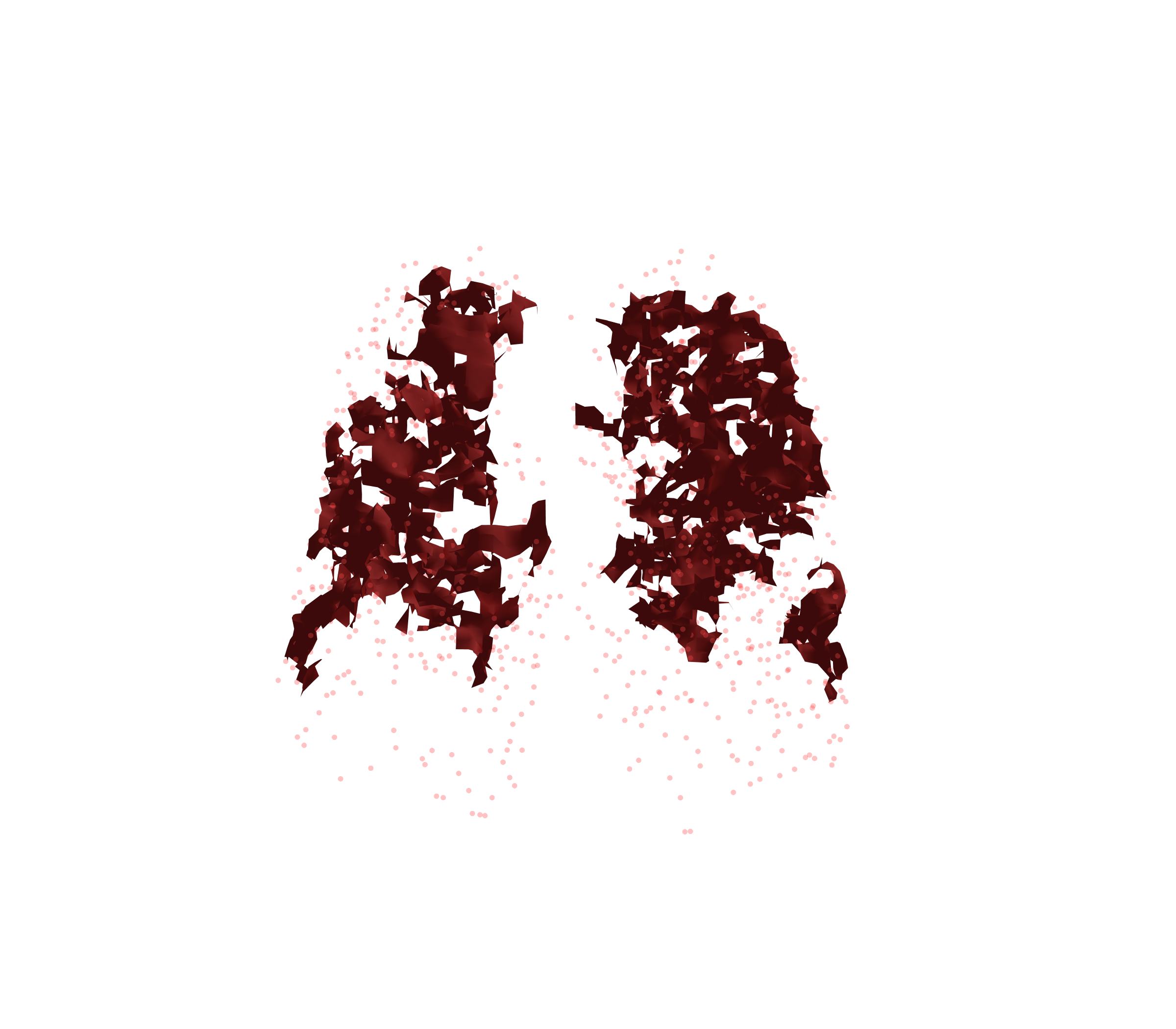 Combined Visualization (Expiration) - Front View