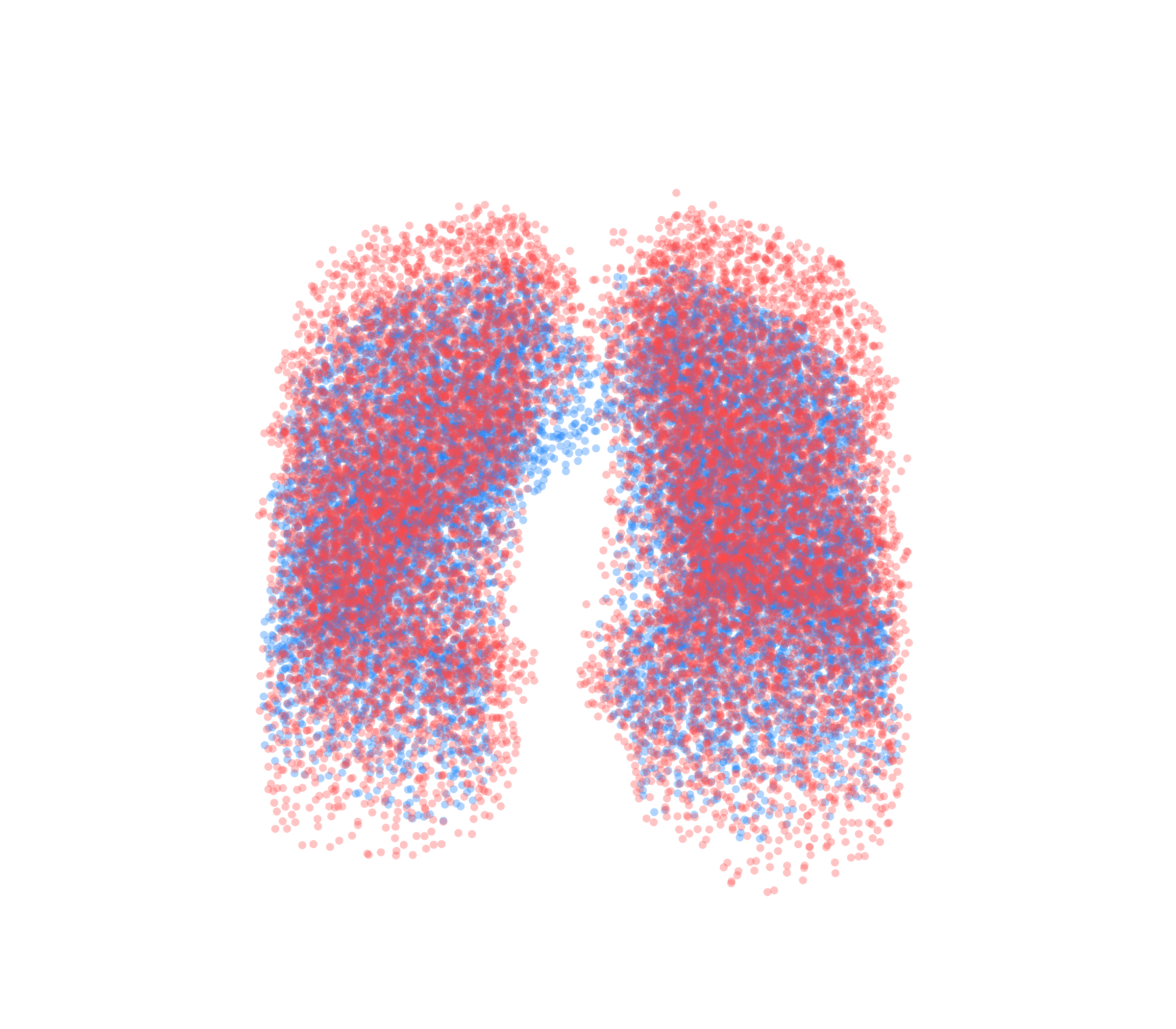 Point Cloud - Front View