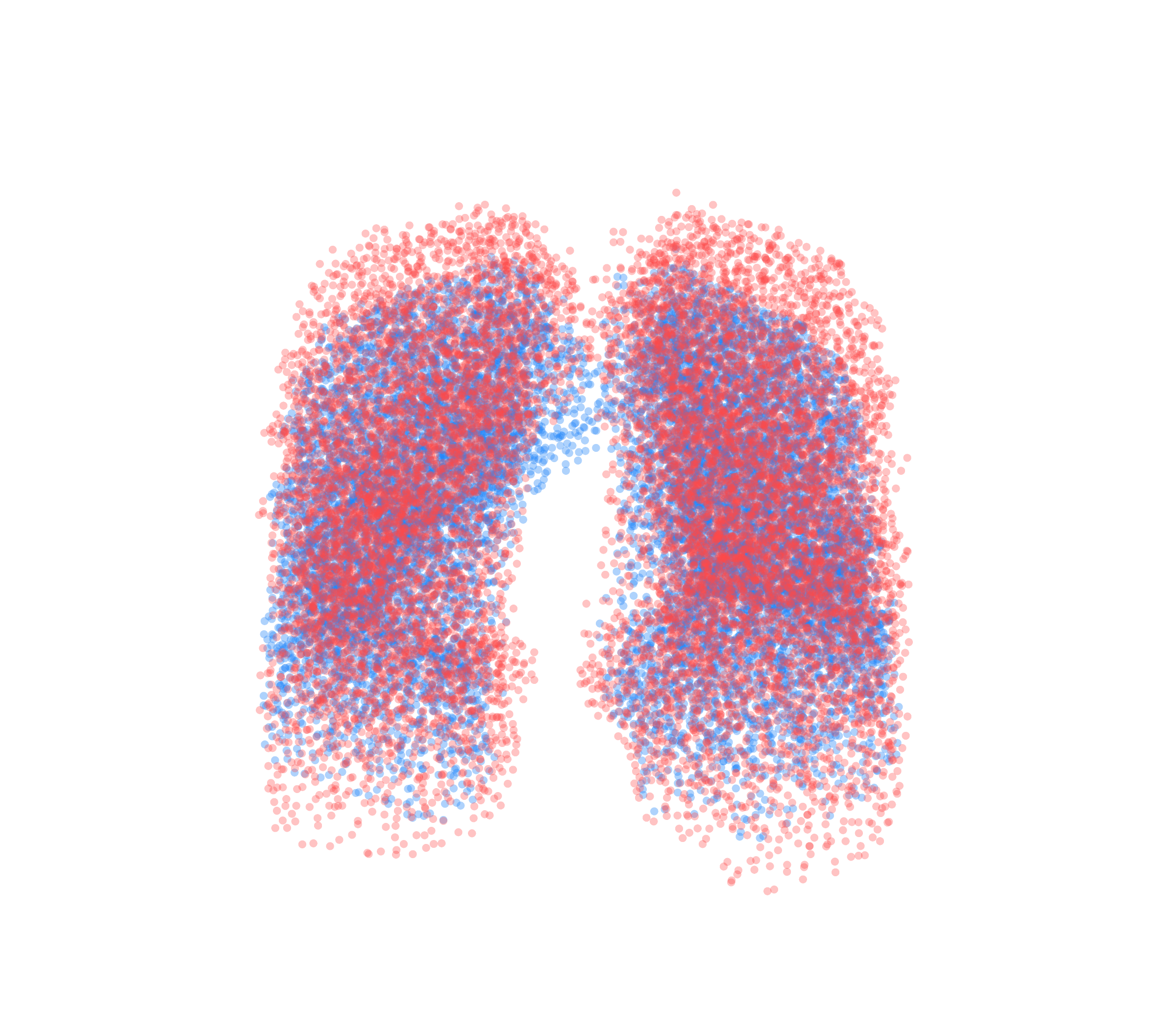 Point Cloud - Front View