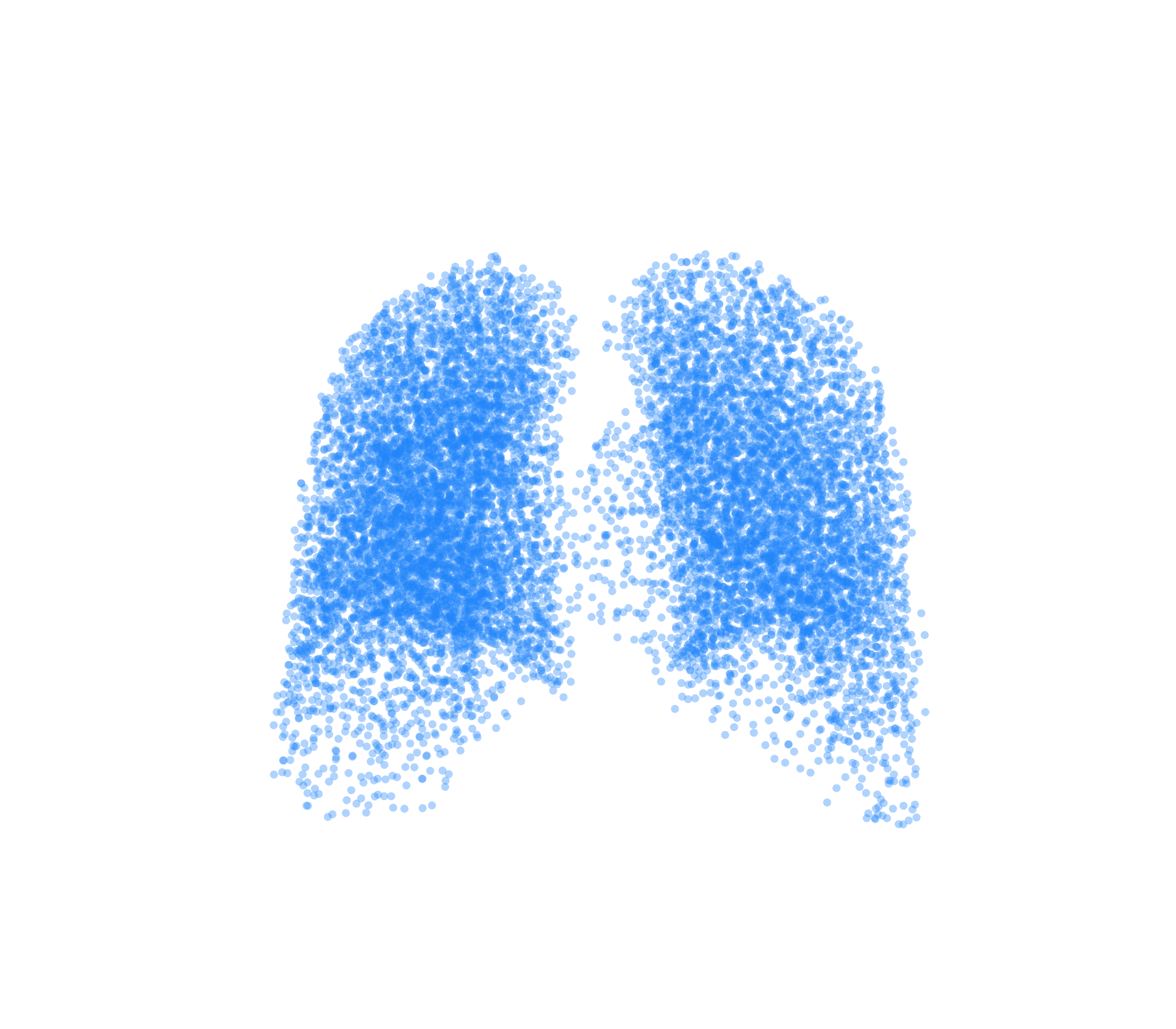 Point Cloud (Inspiration) - Back View