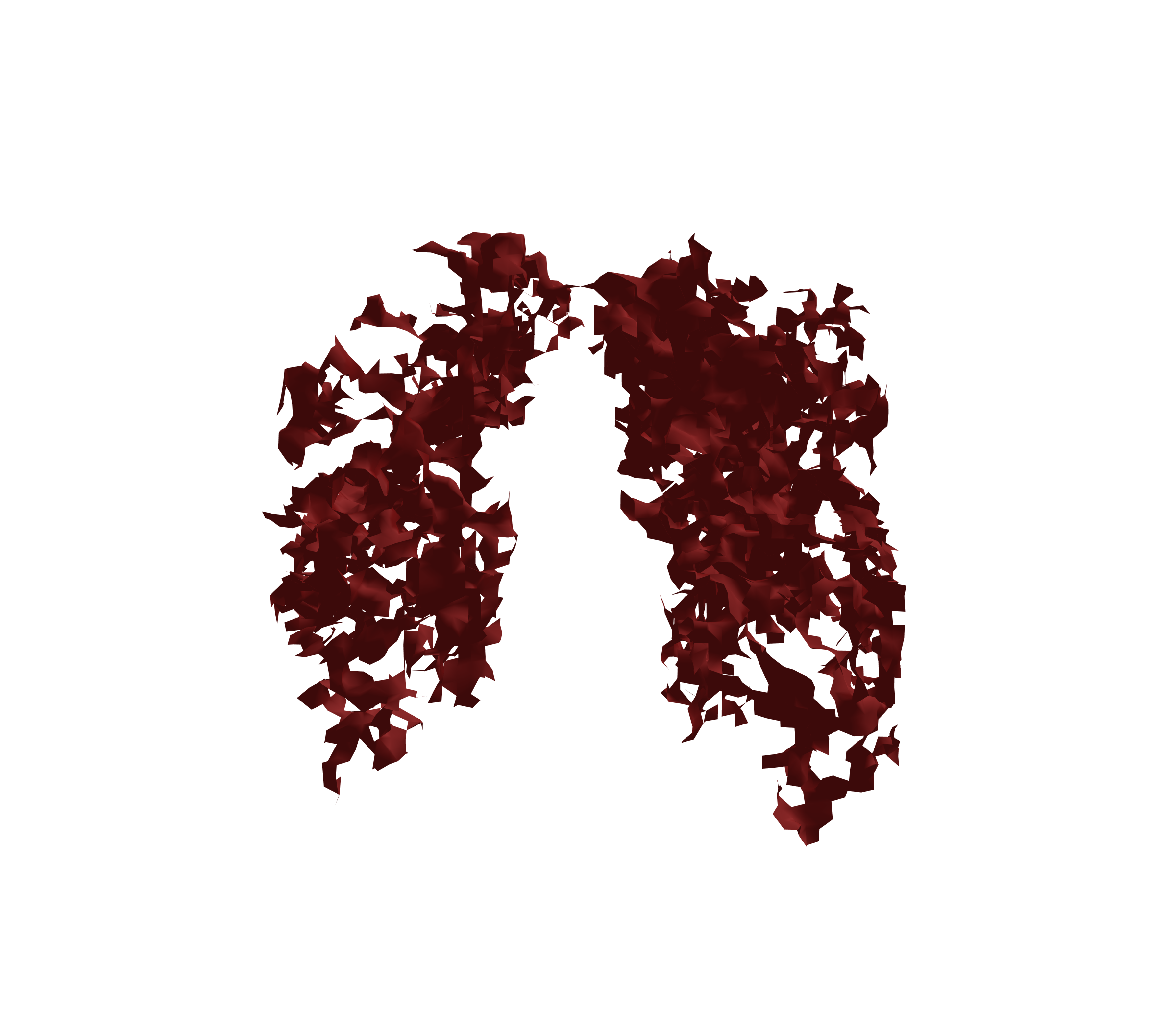 Surface Mesh (Expiration) - Front View