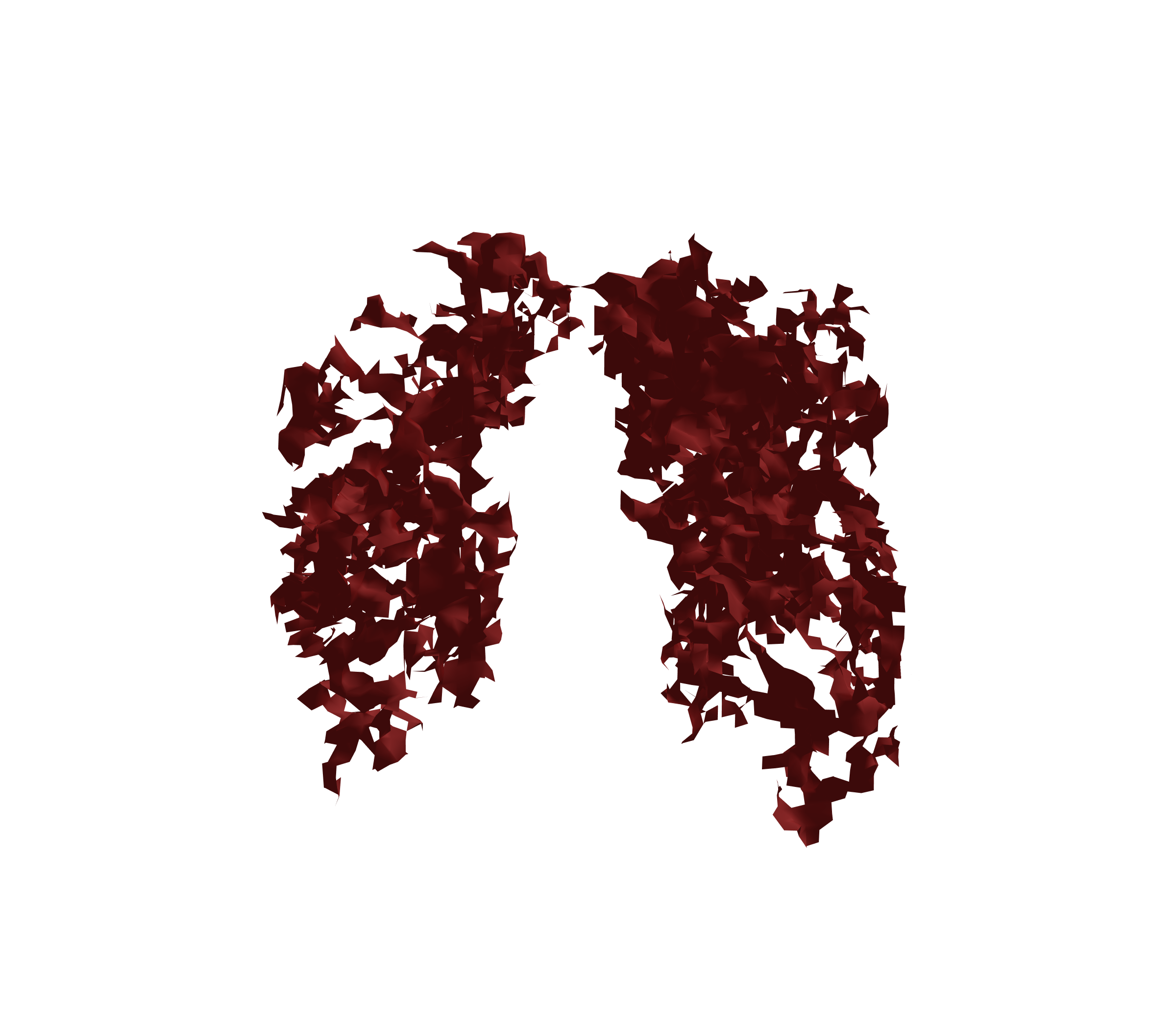 Surface Mesh (Expiration) - Front View