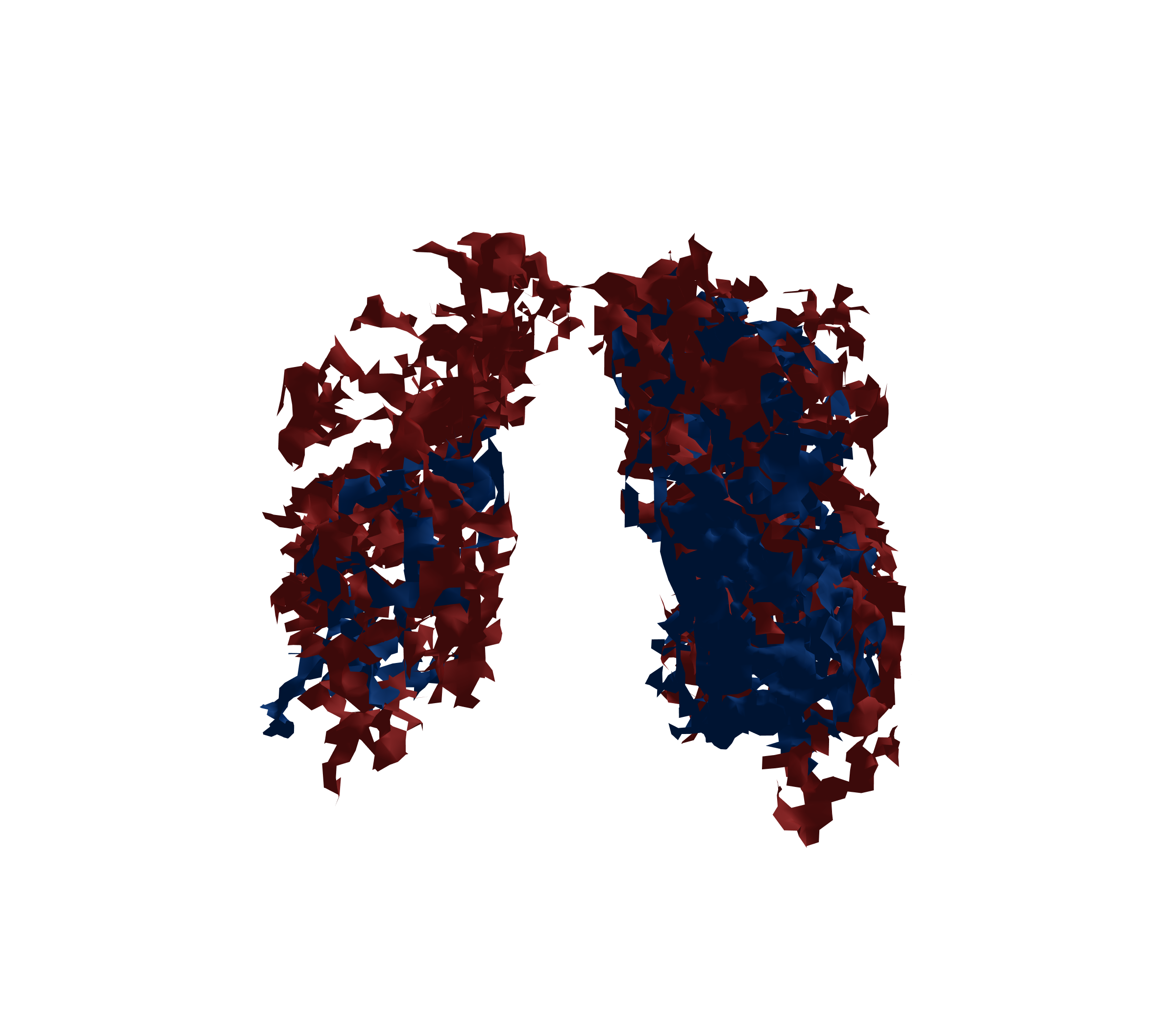 Surface Mesh - Front View