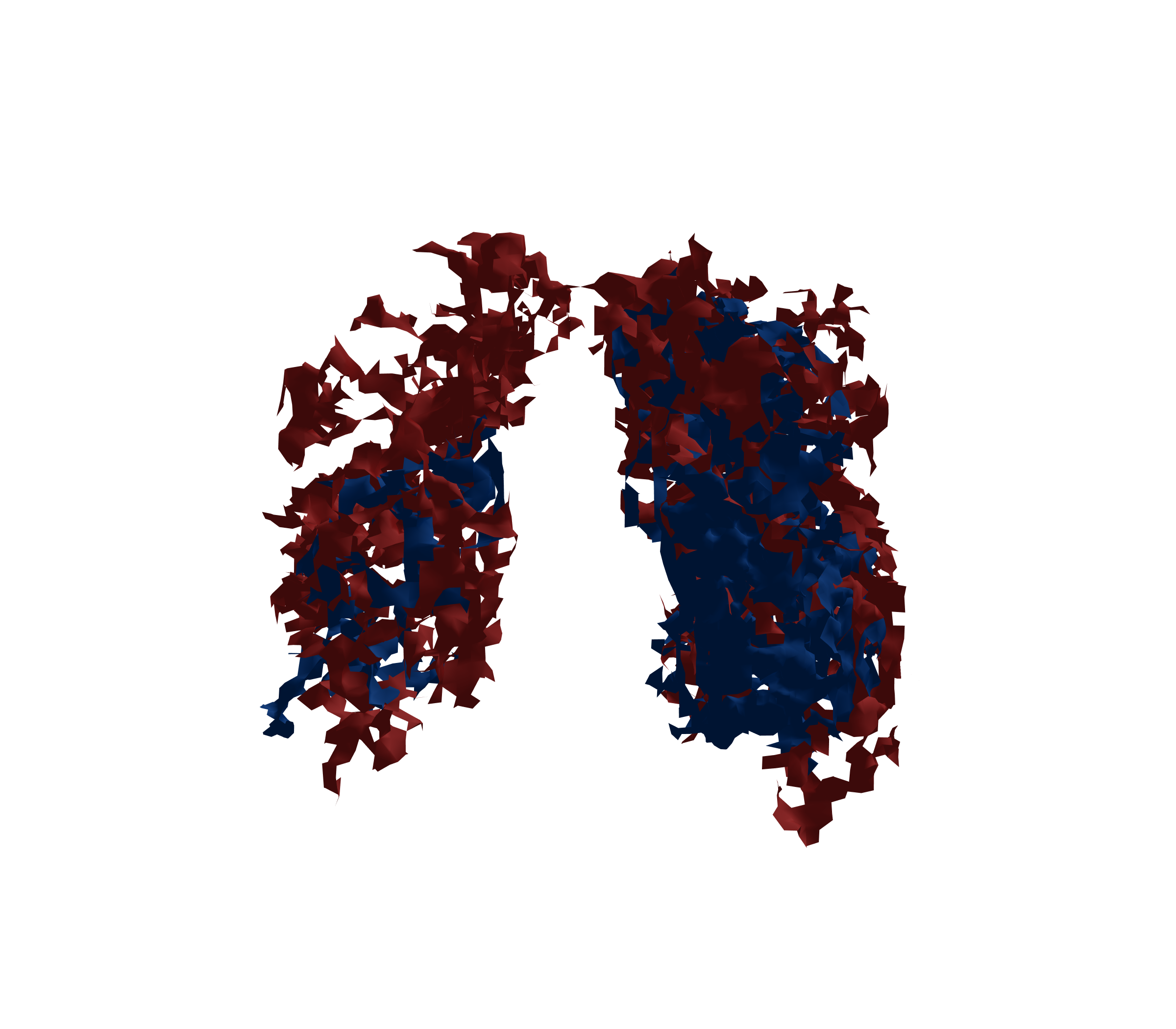 Surface Mesh - Front View