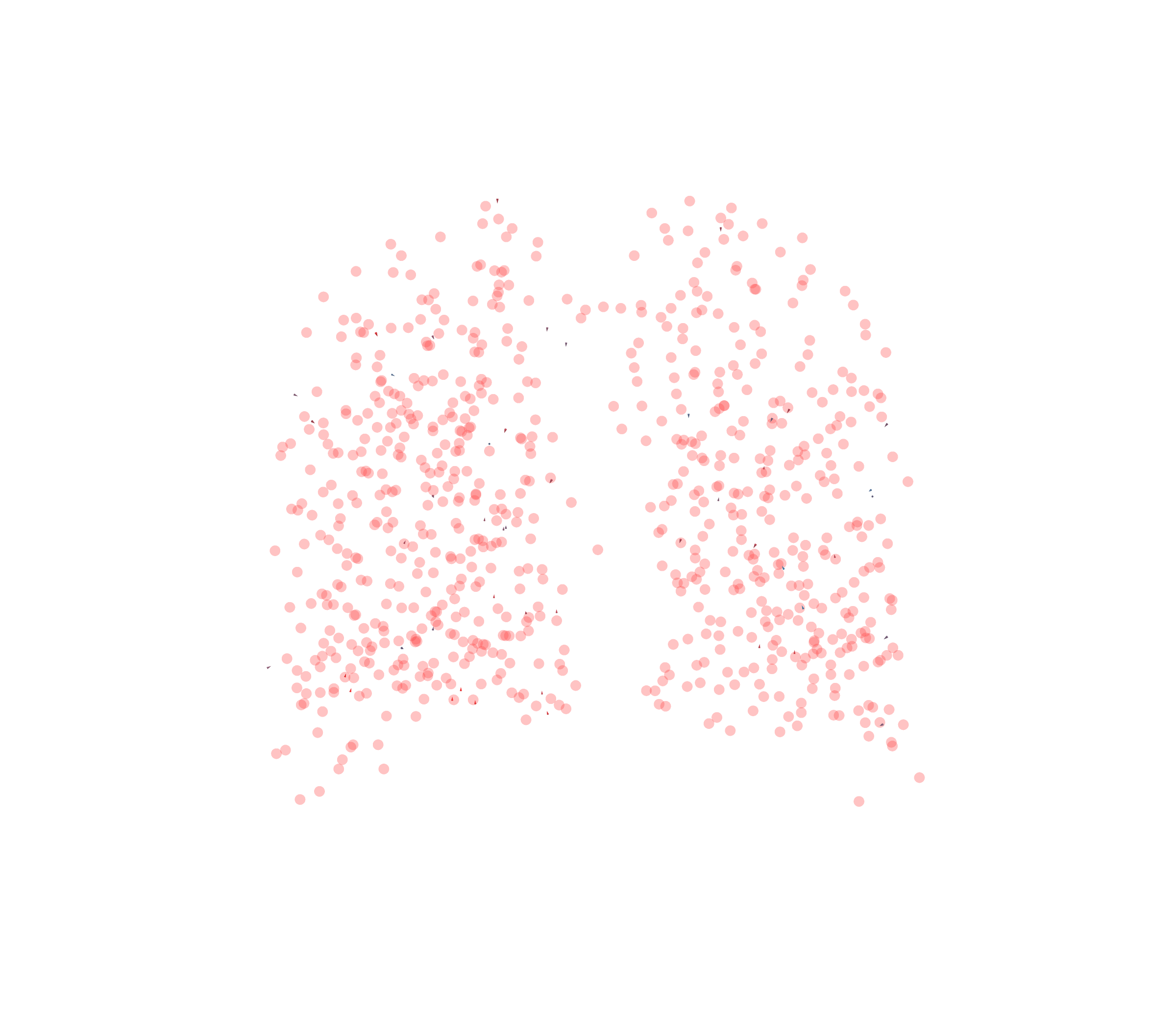 Displacement Vectors - Back View