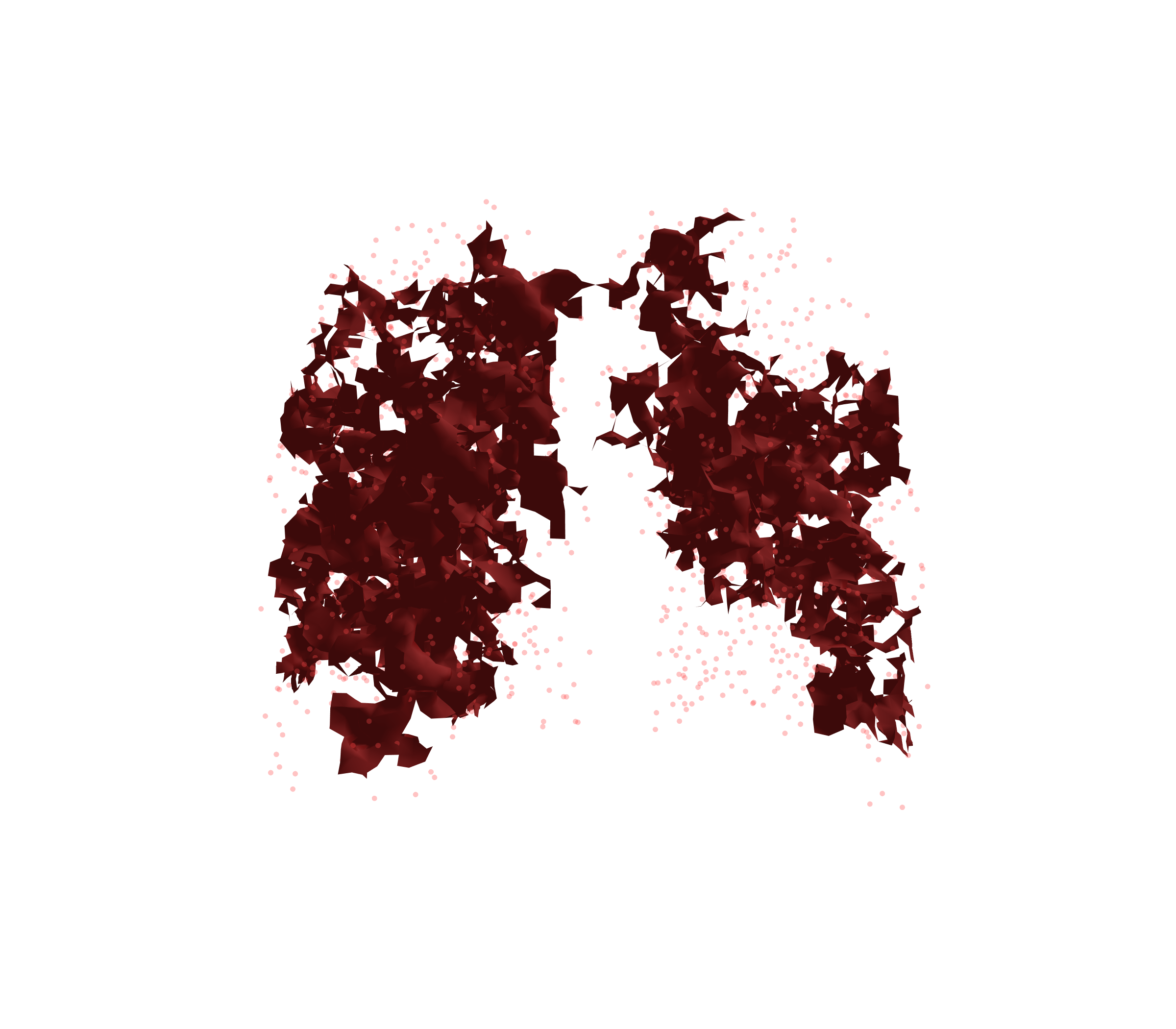 Combined Visualization (Expiration) - Back View