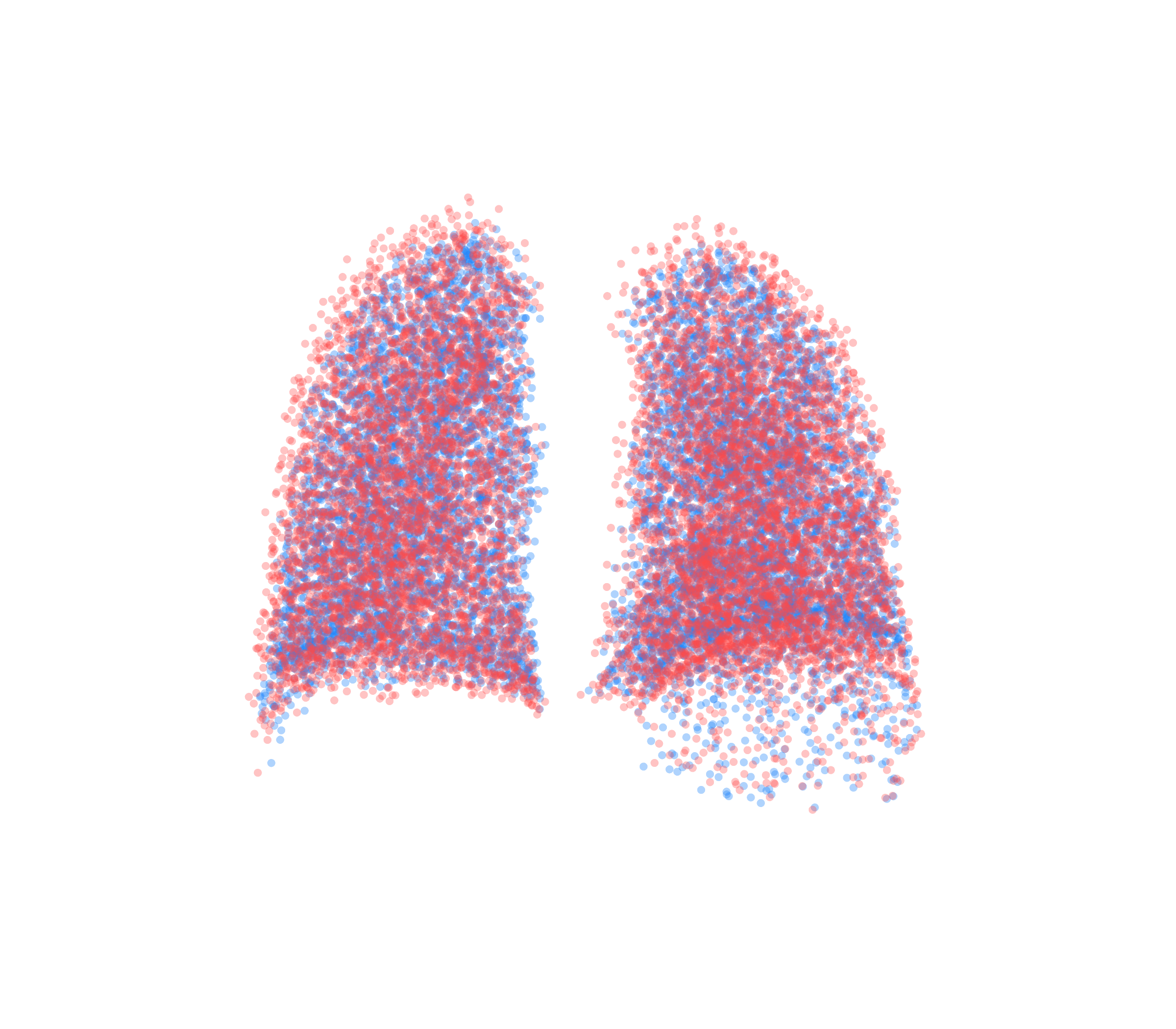 Point Cloud - Back View