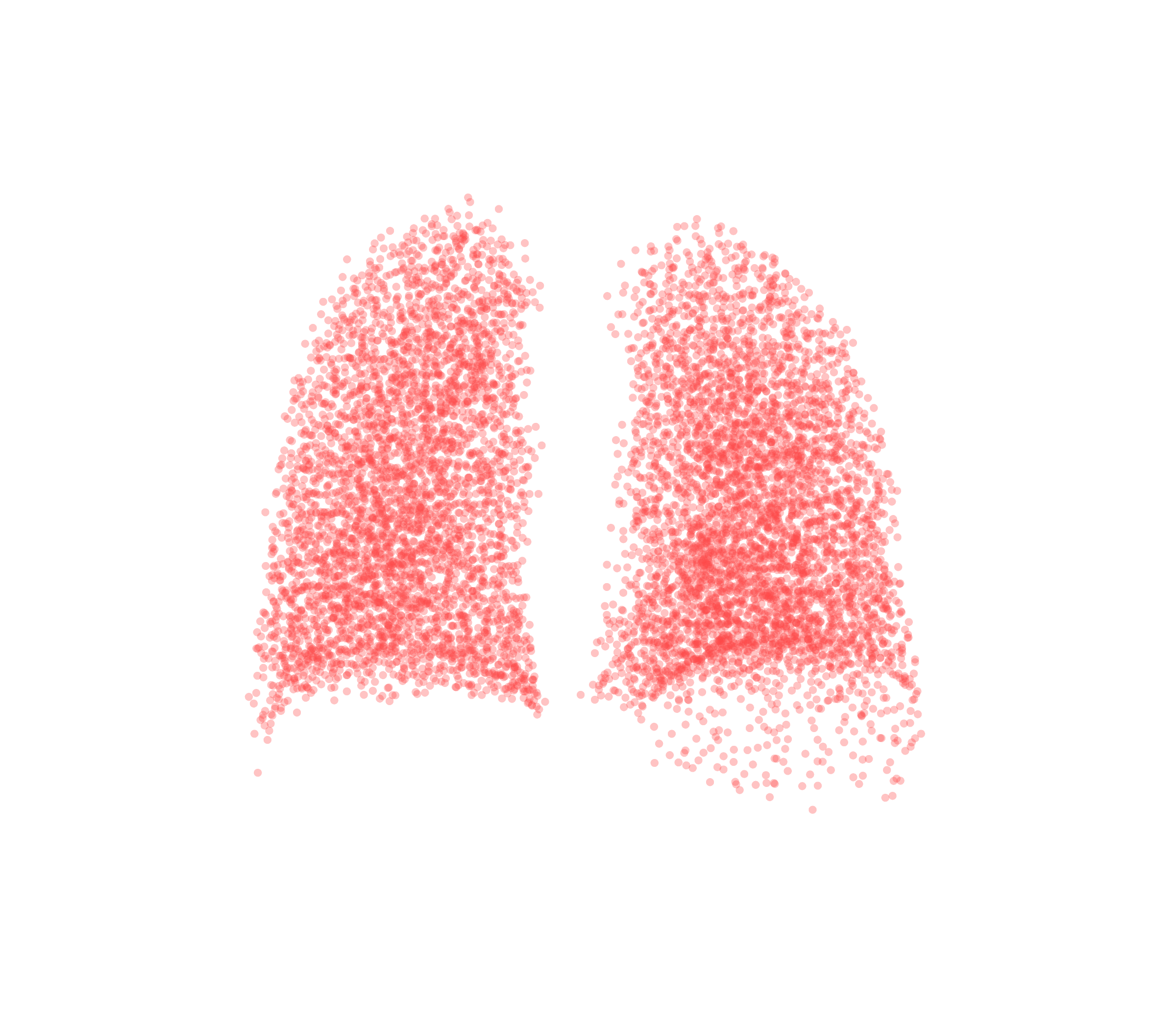 Point Cloud (Expiration) - Back View