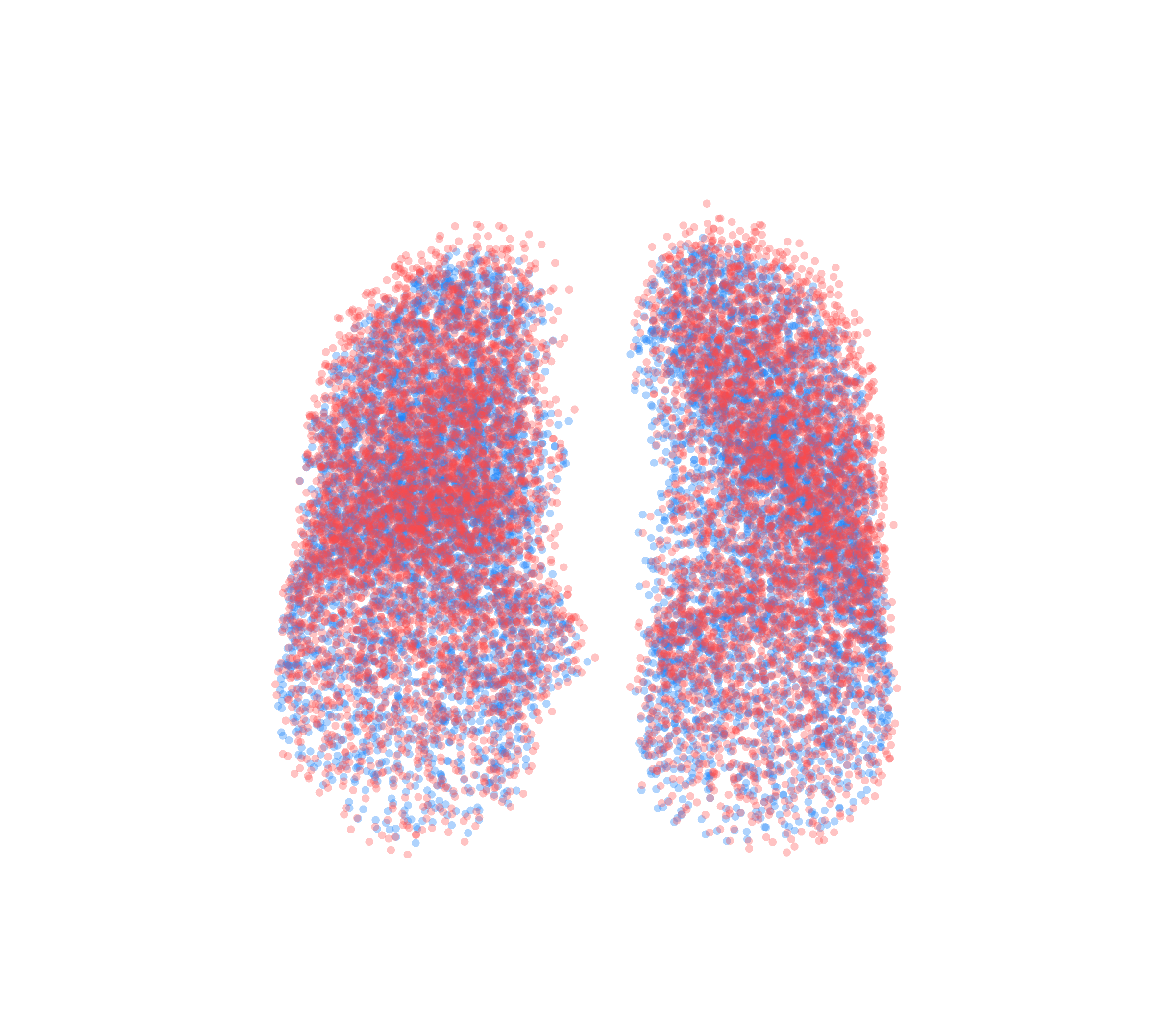Point Cloud - Front View
