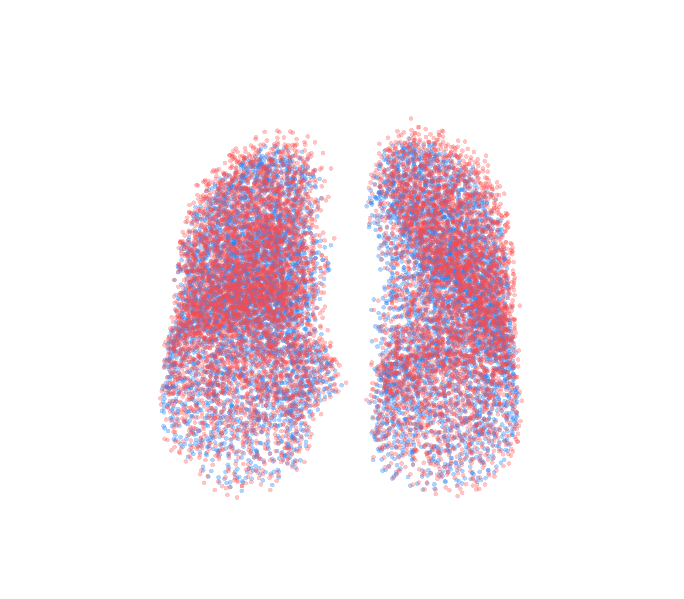 Point Cloud - Front View