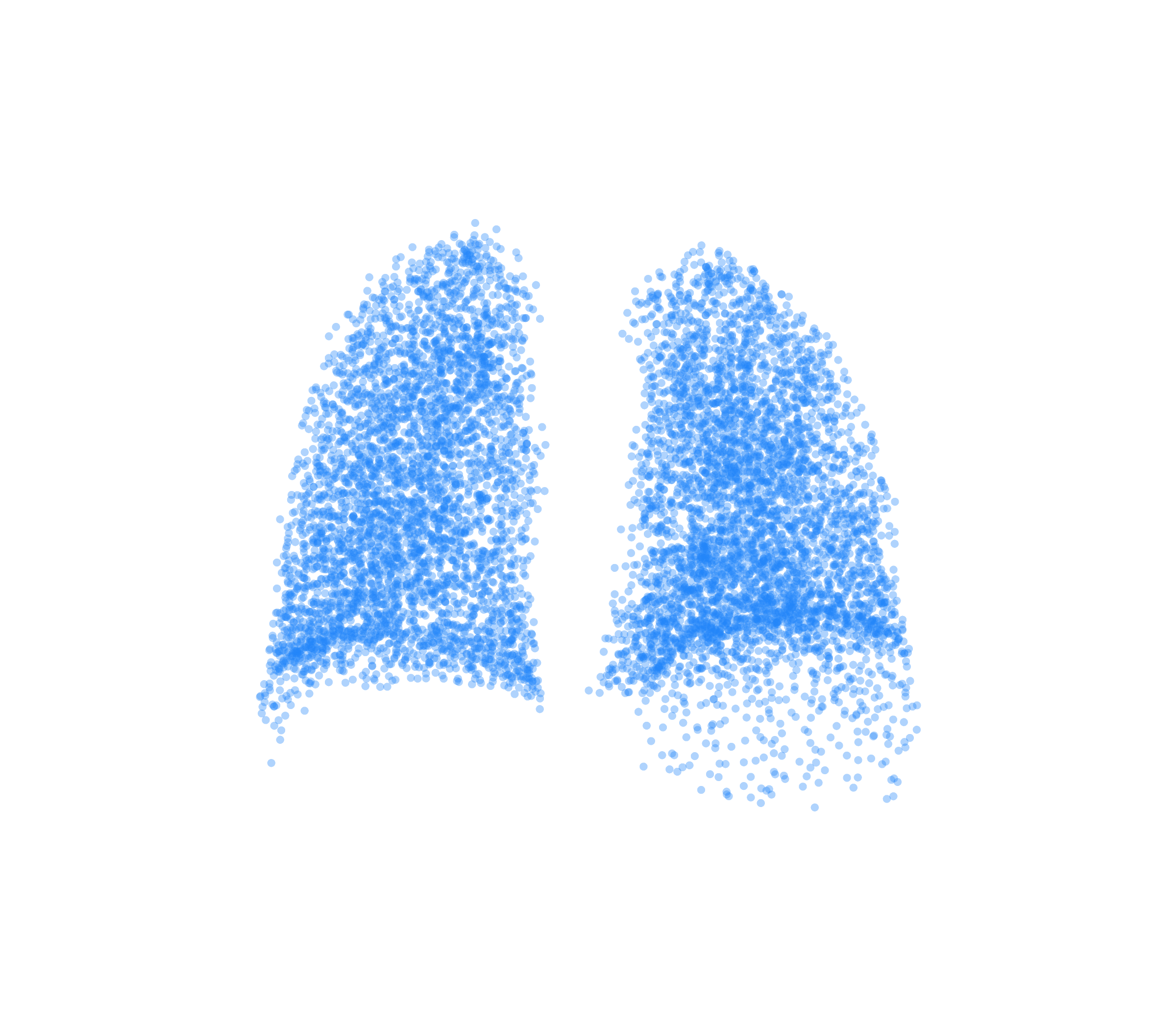 Point Cloud (Inspiration) - Back View