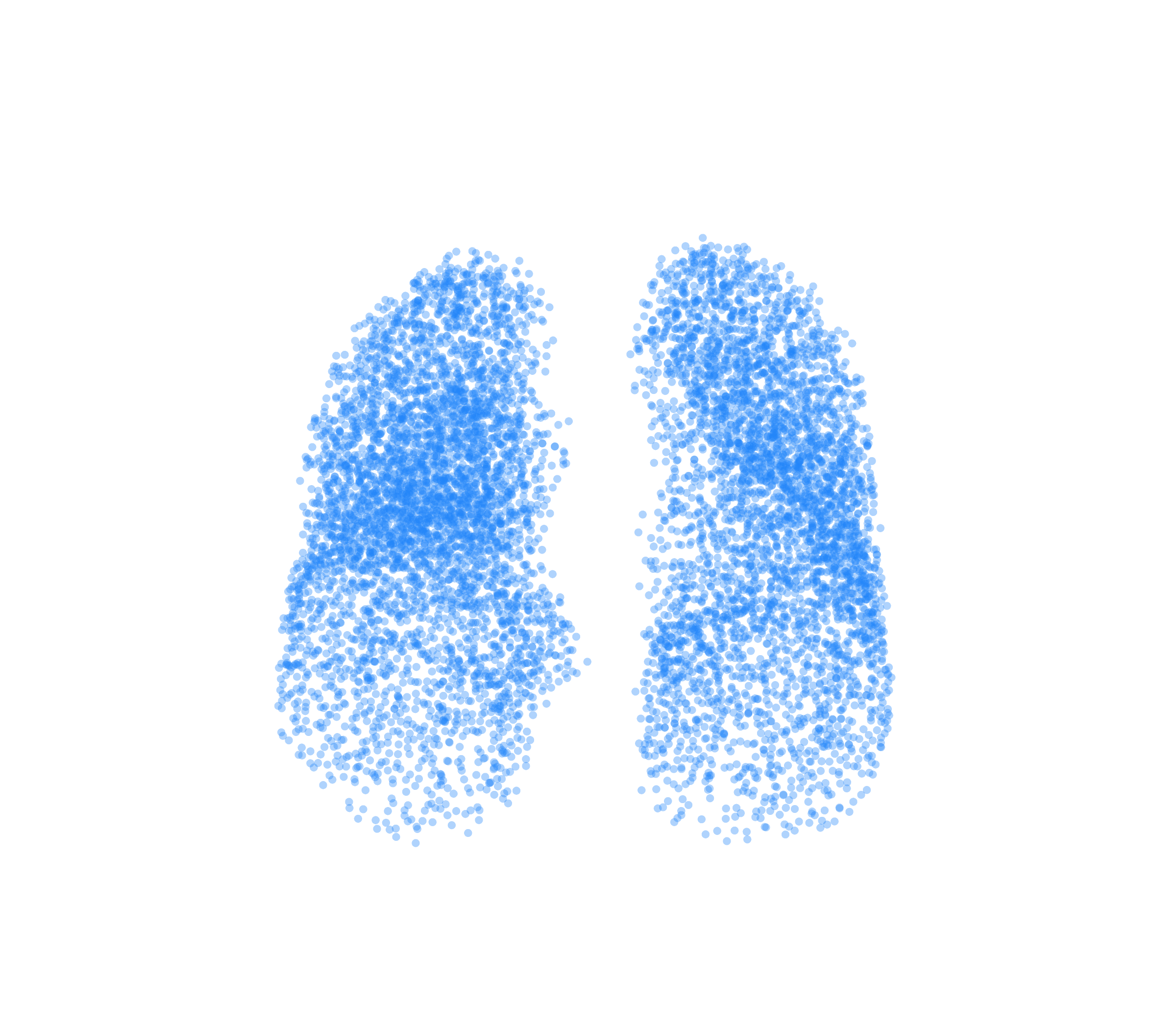 Point Cloud (Inspiration) - Front View