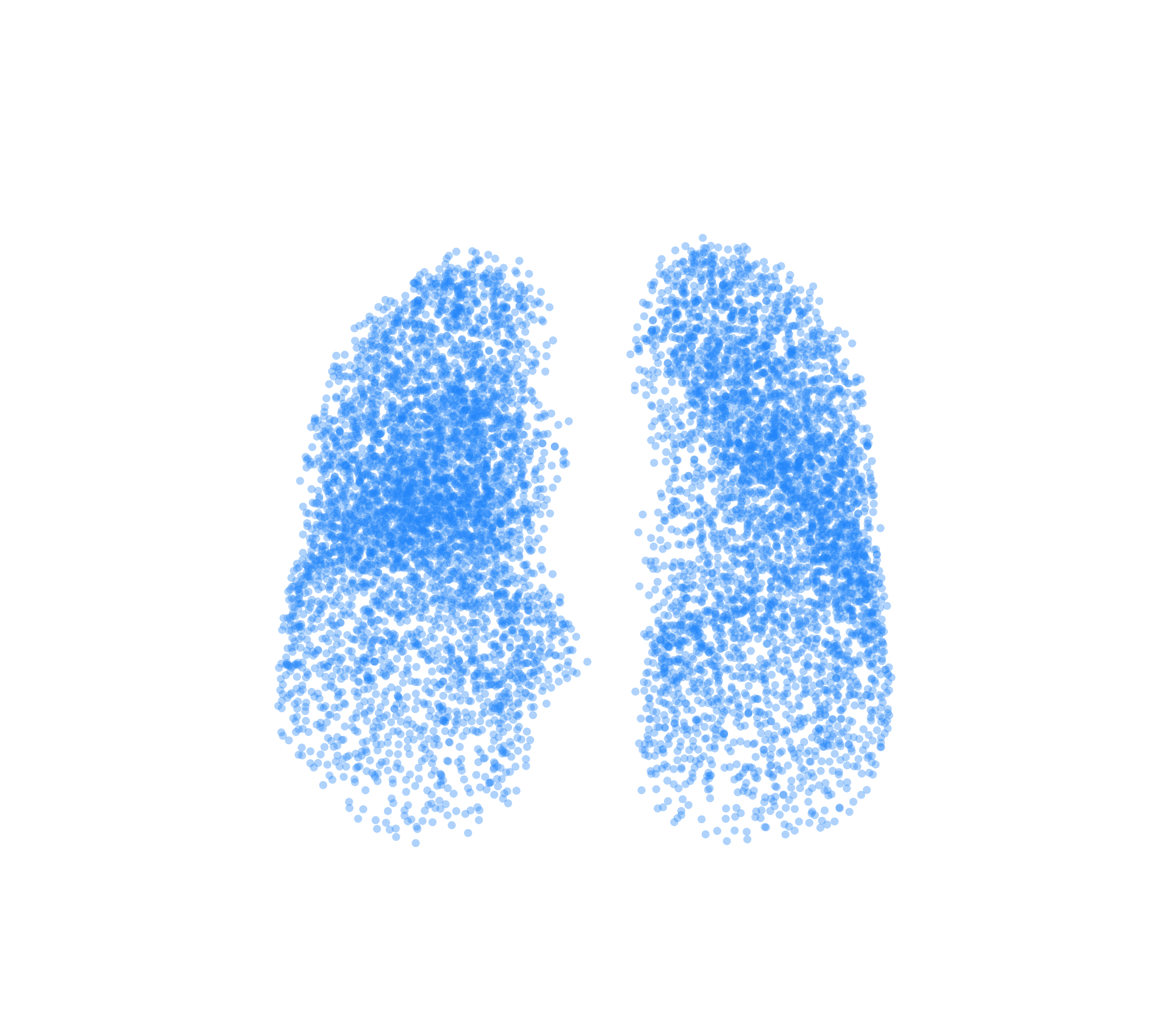 Point Cloud (Inspiration) - Front View