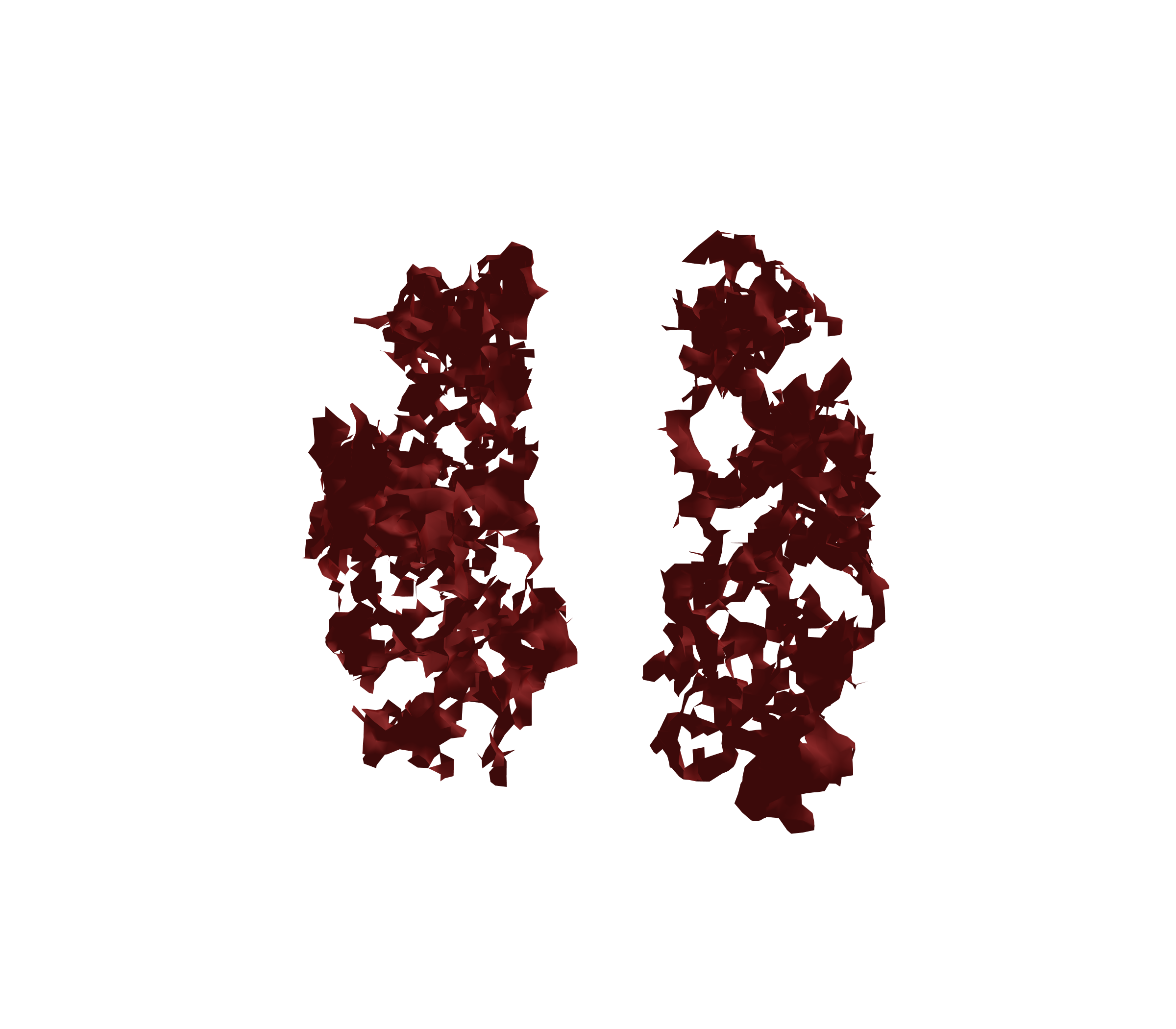 Surface Mesh (Expiration) - Front View