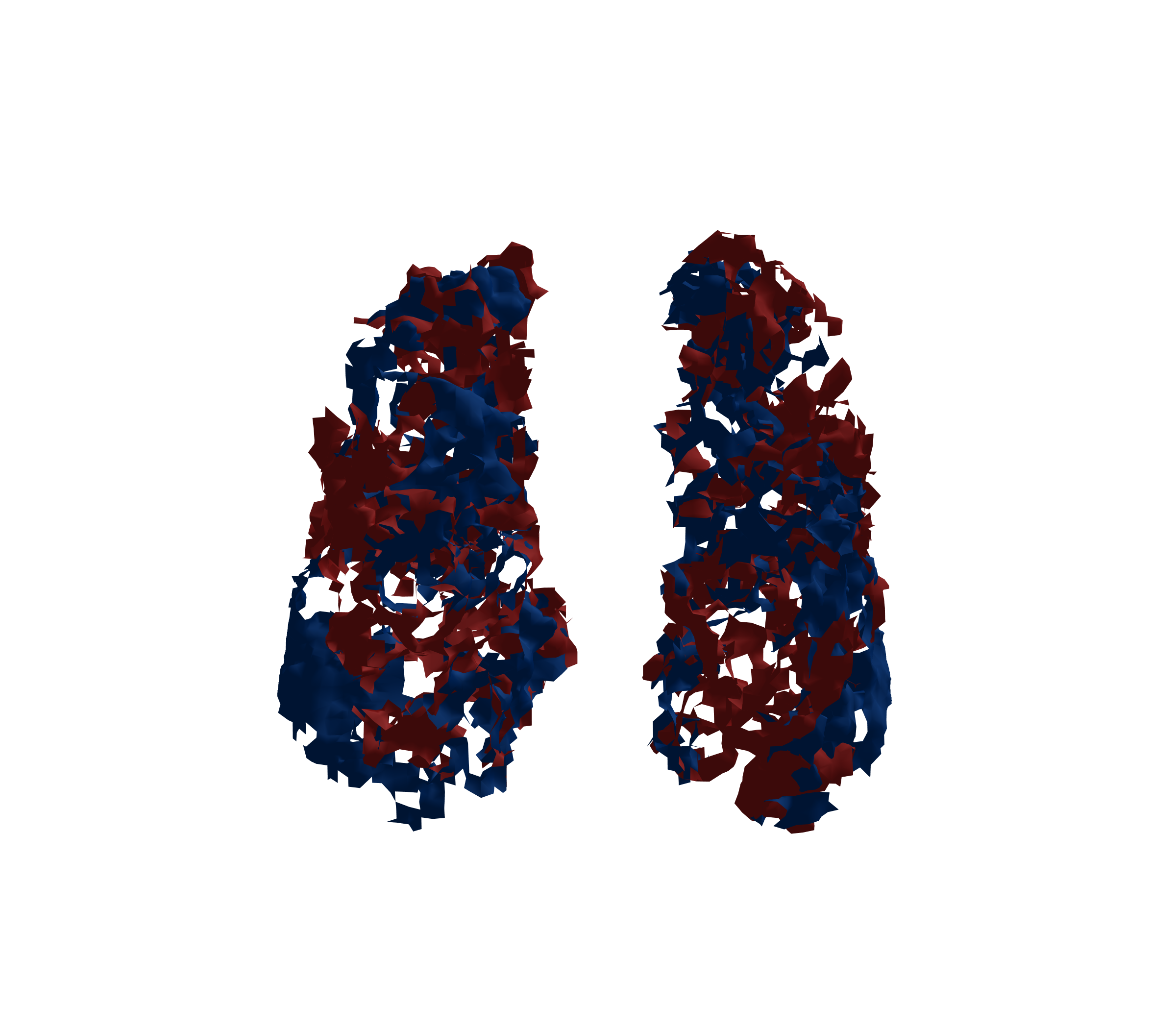 Surface Mesh - Front View