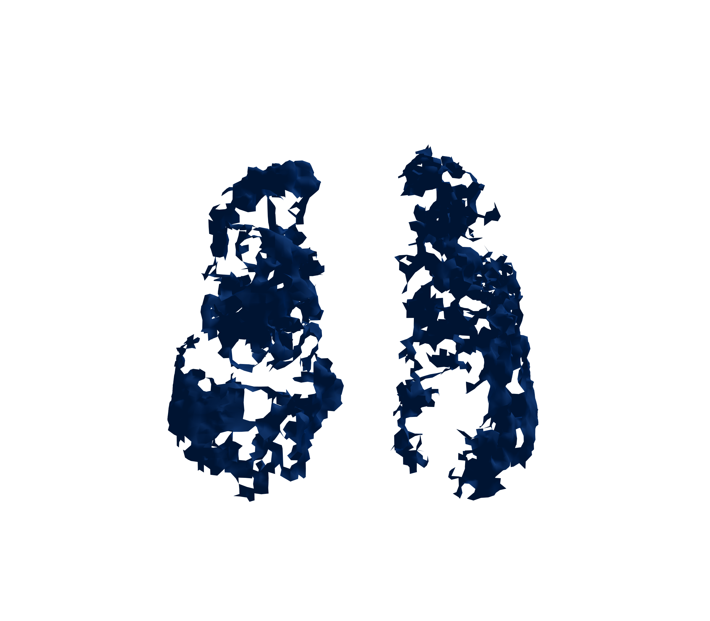 Surface Mesh (Inspiration) - Front View