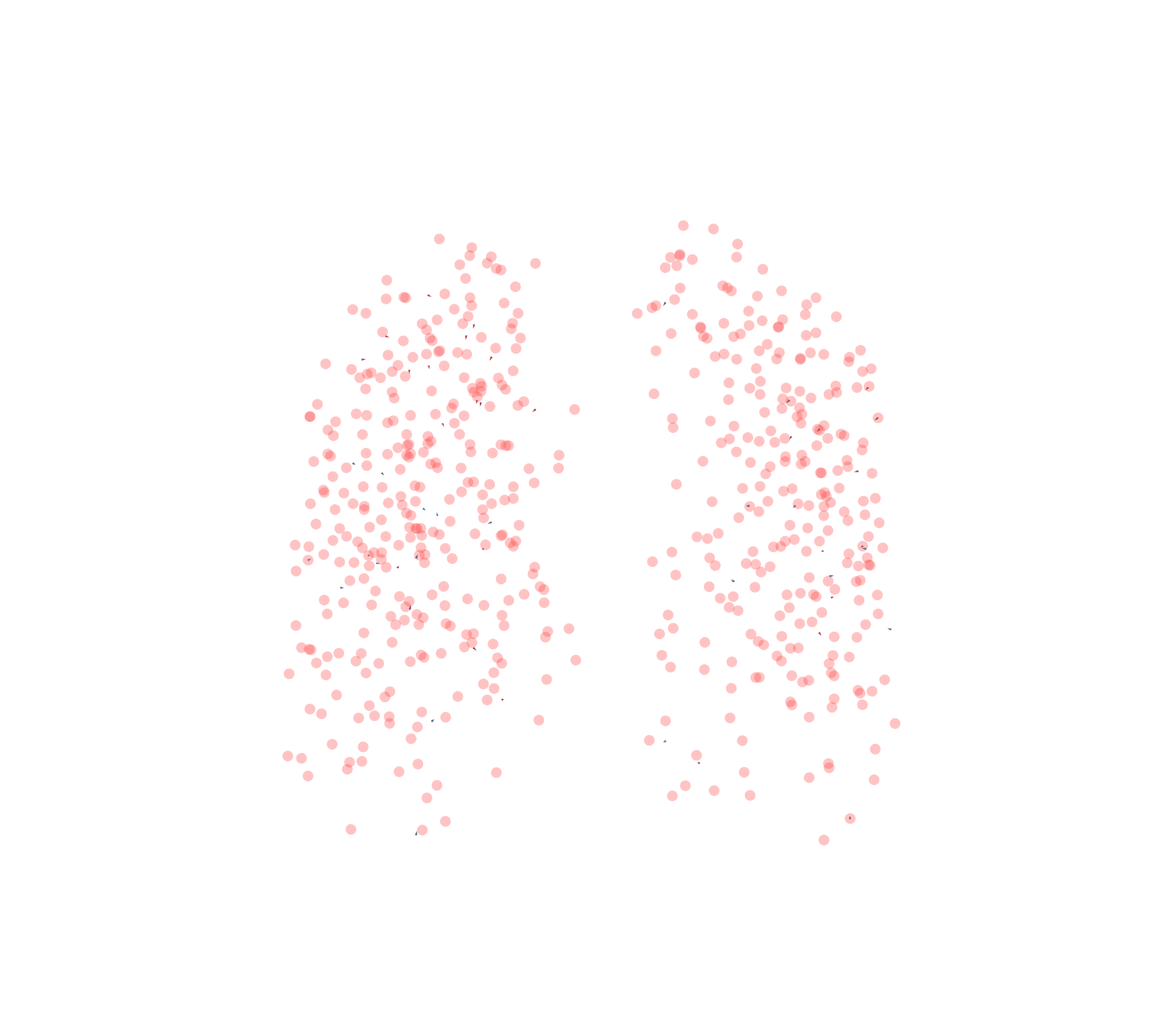 Displacement Vectors - Front View