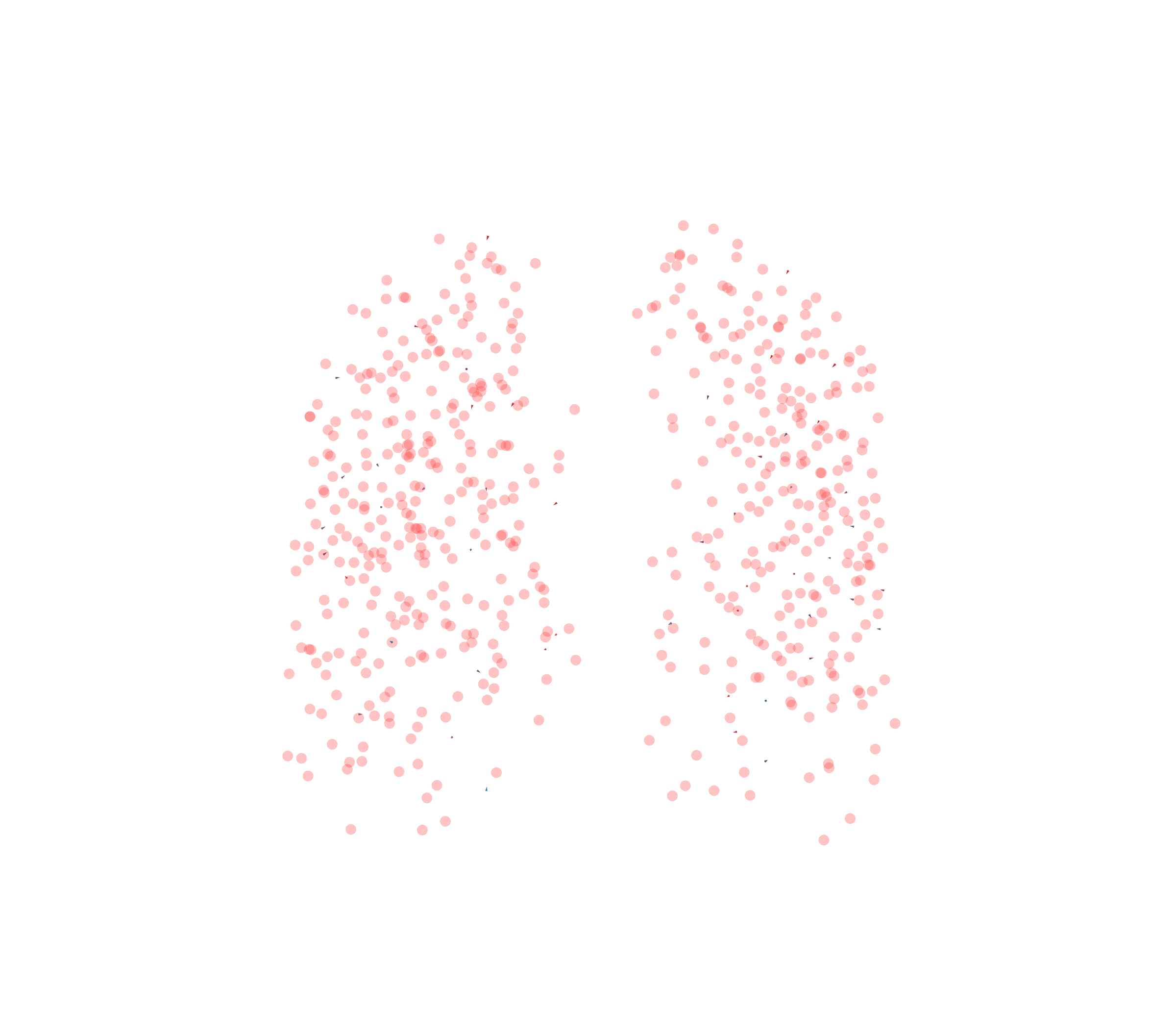 Displacement Vectors - Front View