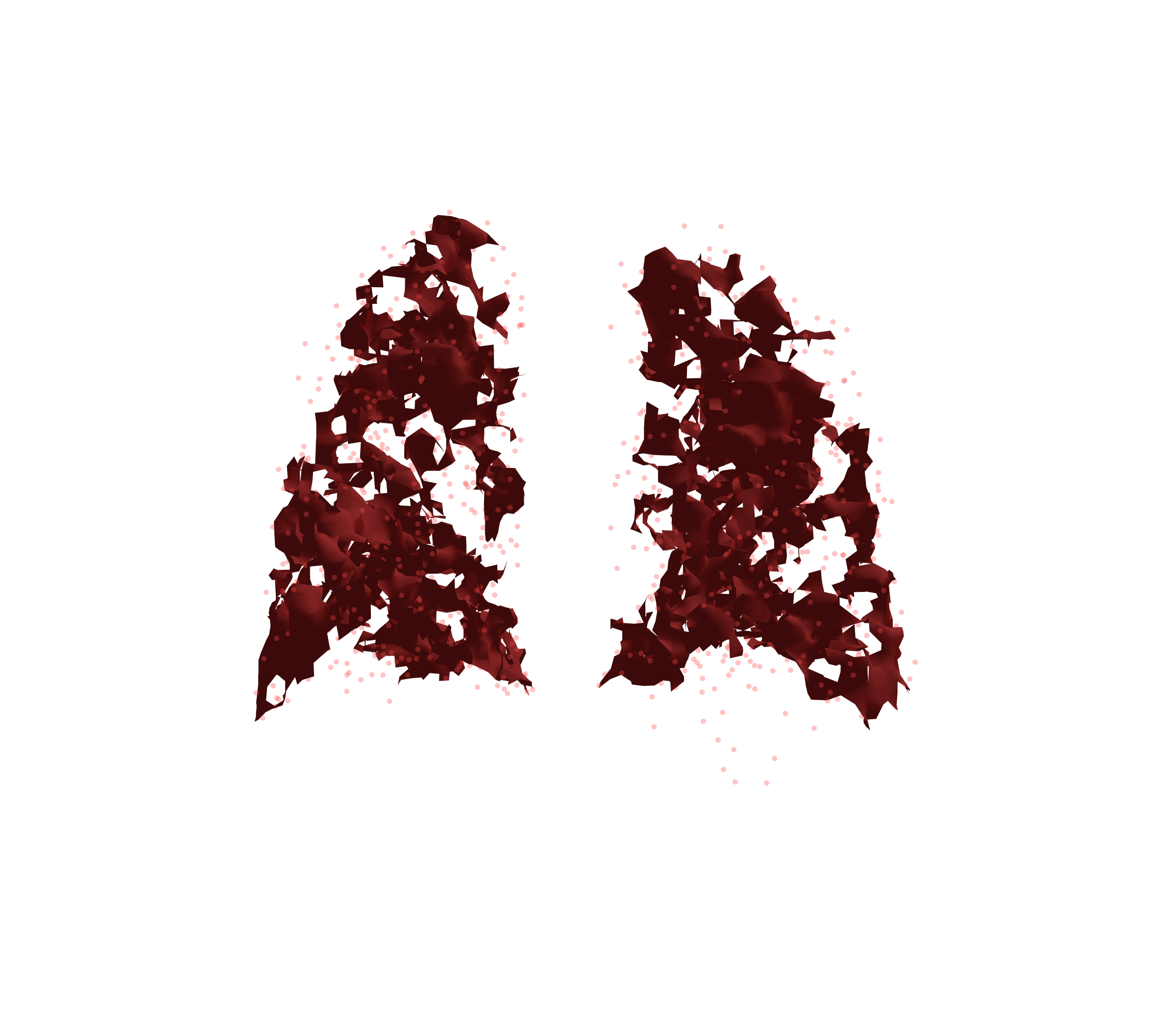 Combined Visualization (Expiration) - Back View