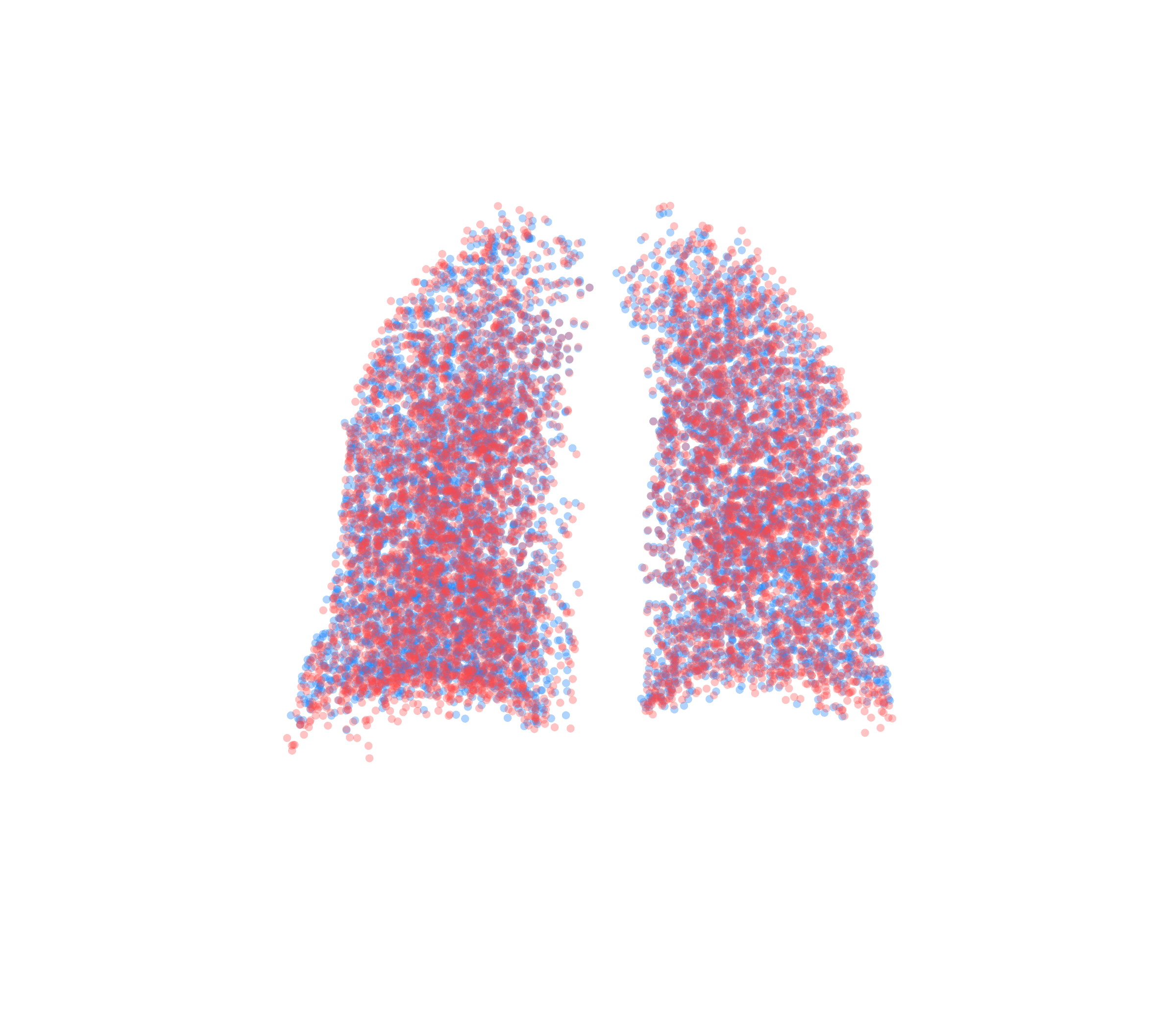 Point Cloud - Back View