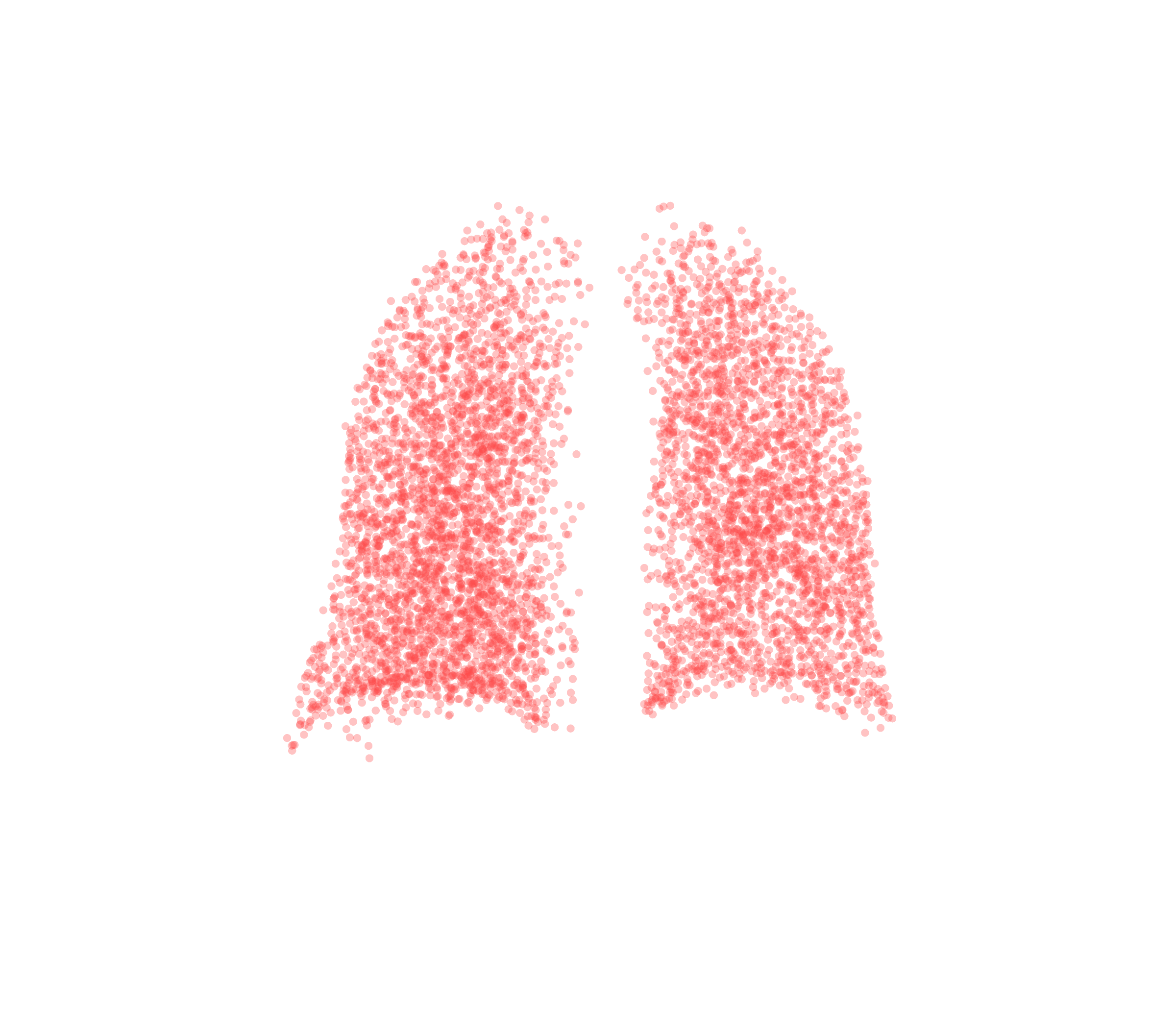 Point Cloud (Expiration) - Back View