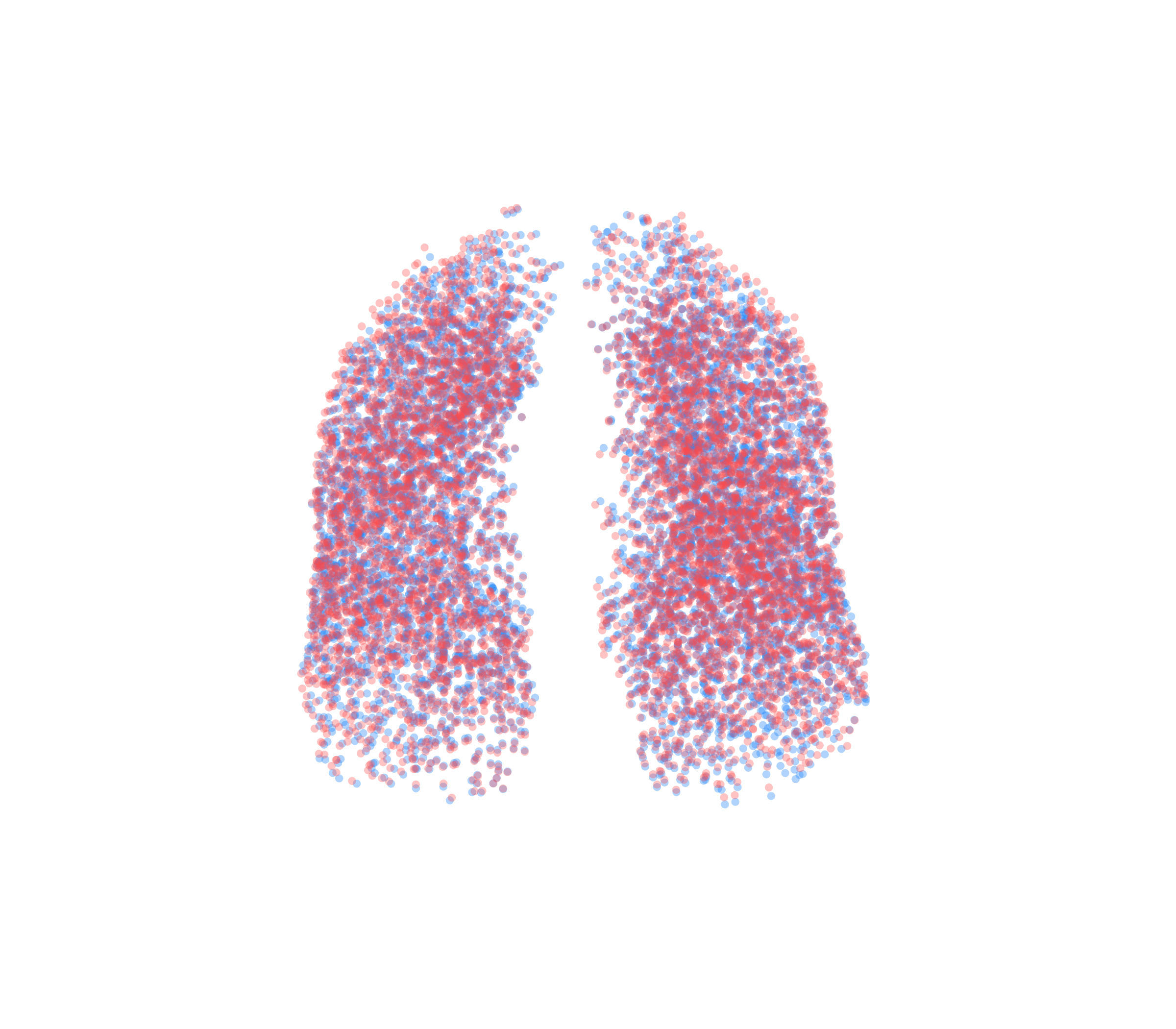 Point Cloud - Front View