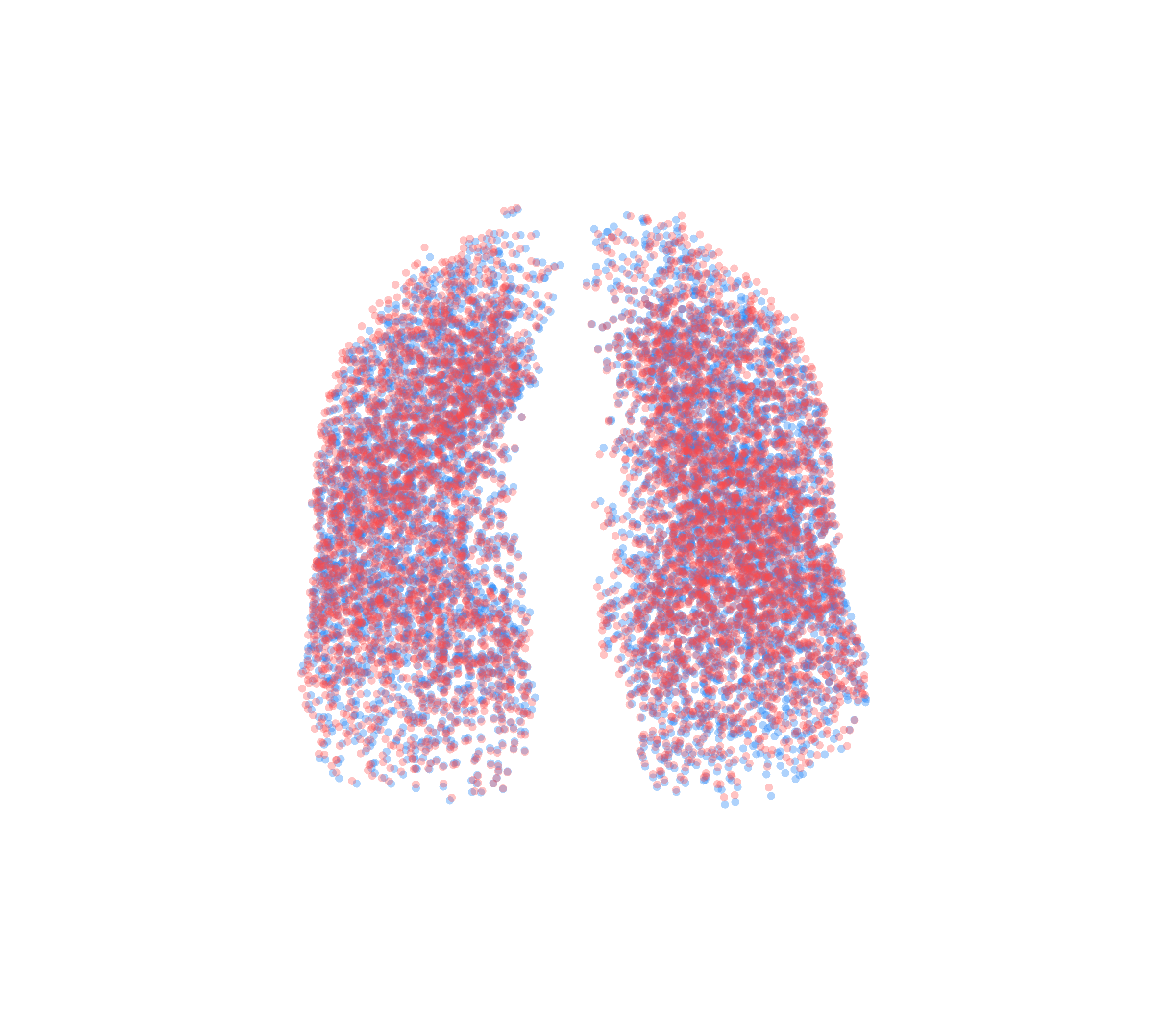 Point Cloud - Front View