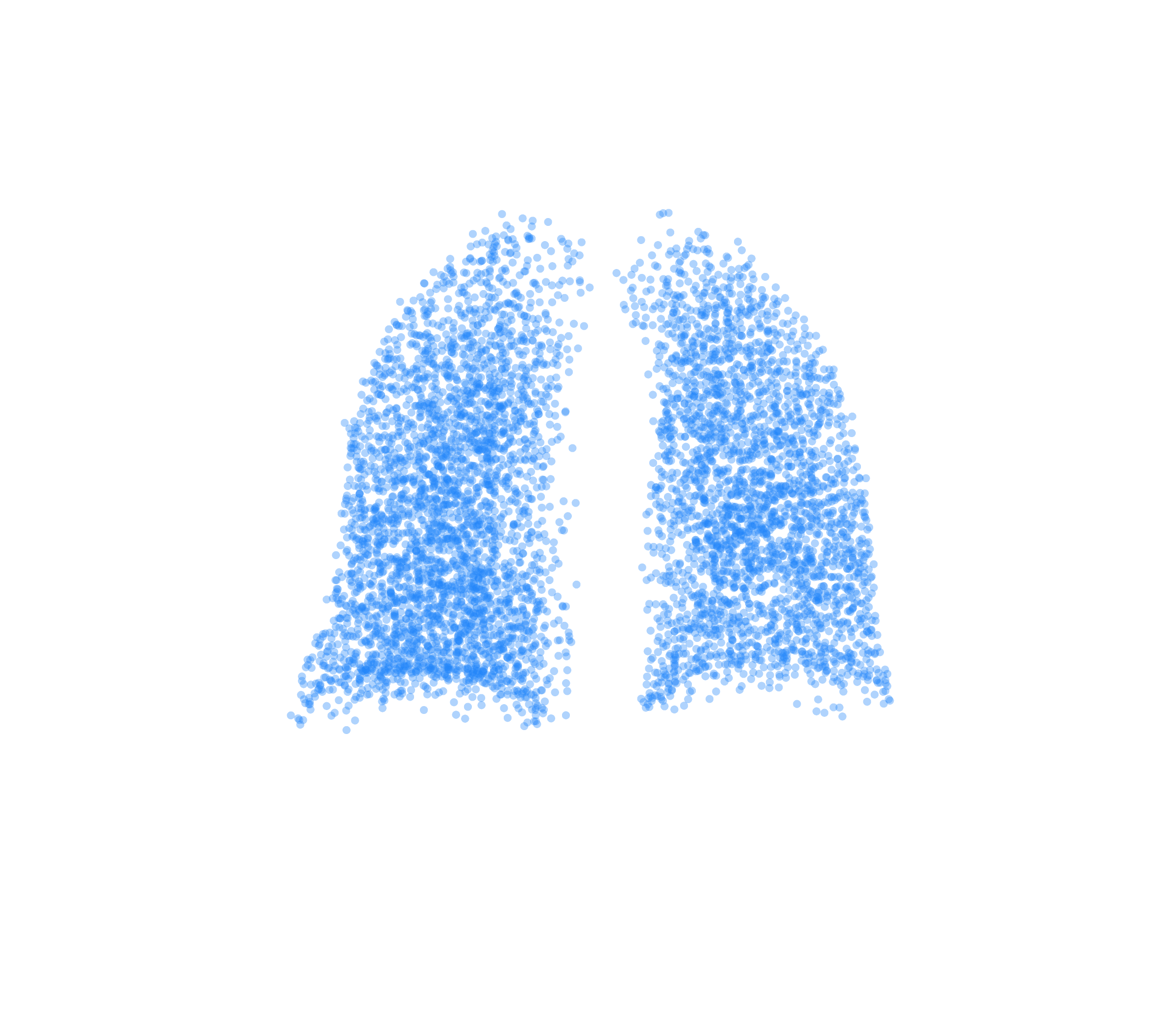 Point Cloud (Inspiration) - Back View