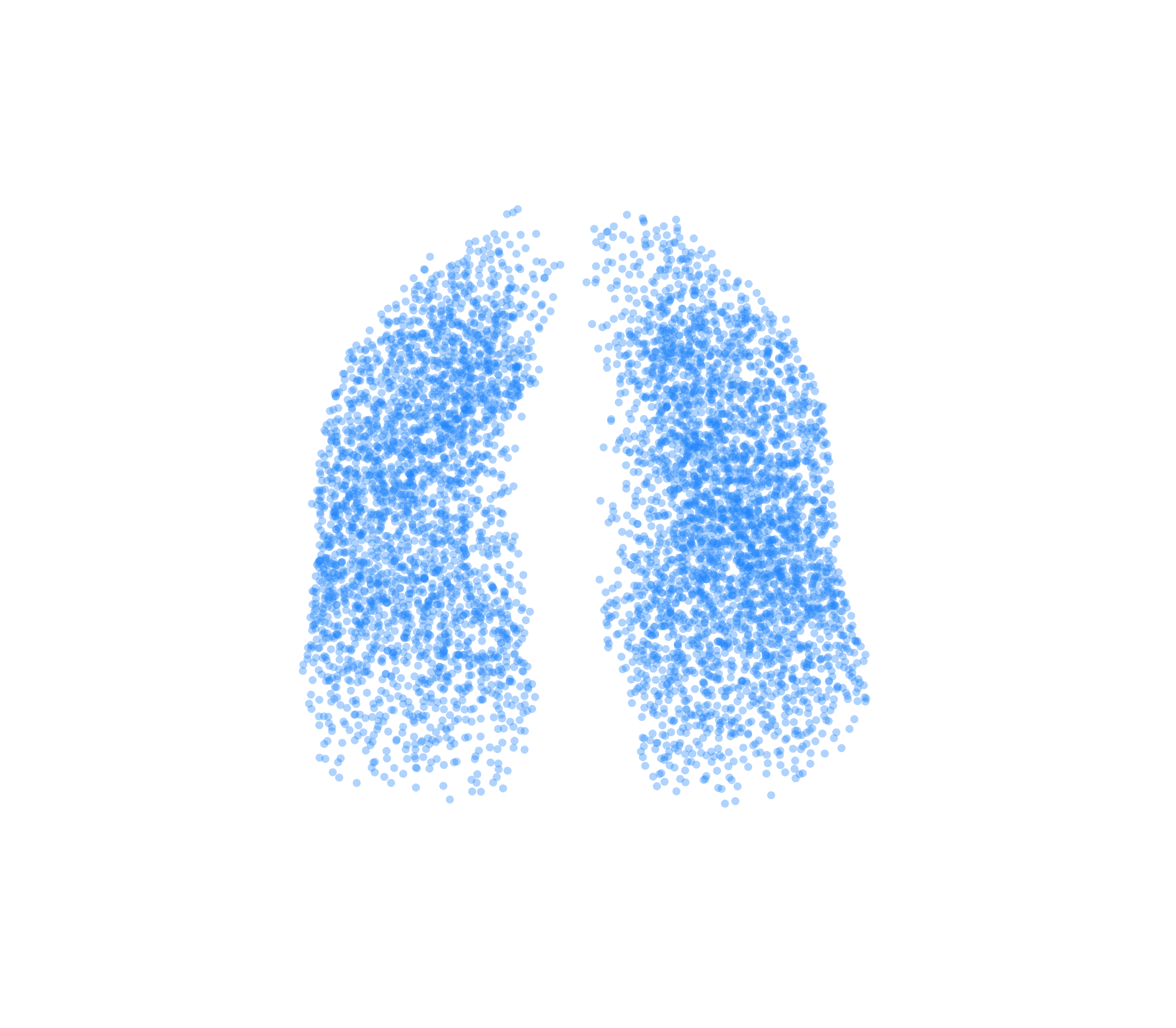 Point Cloud (Inspiration) - Front View