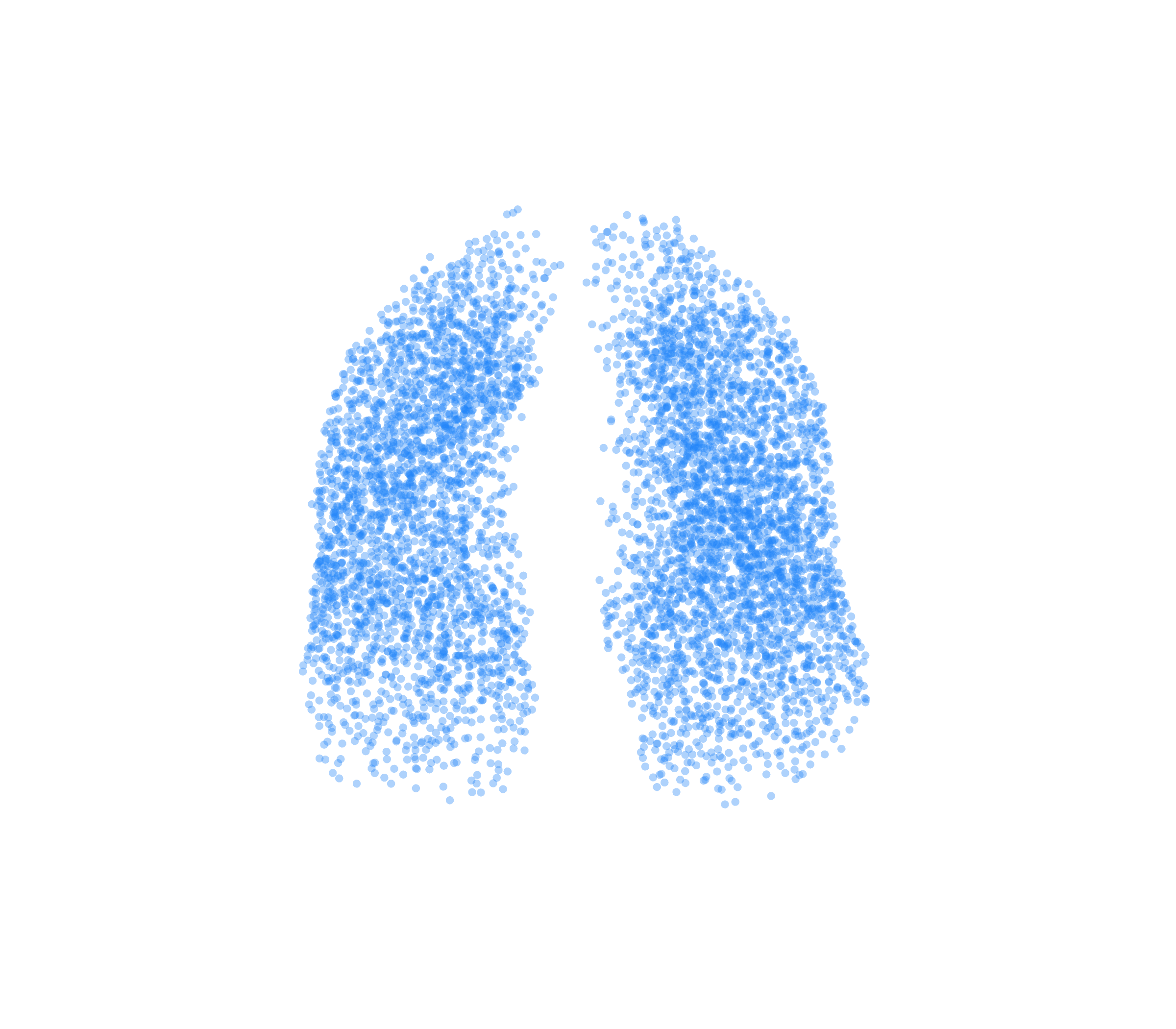 Point Cloud (Inspiration) - Front View