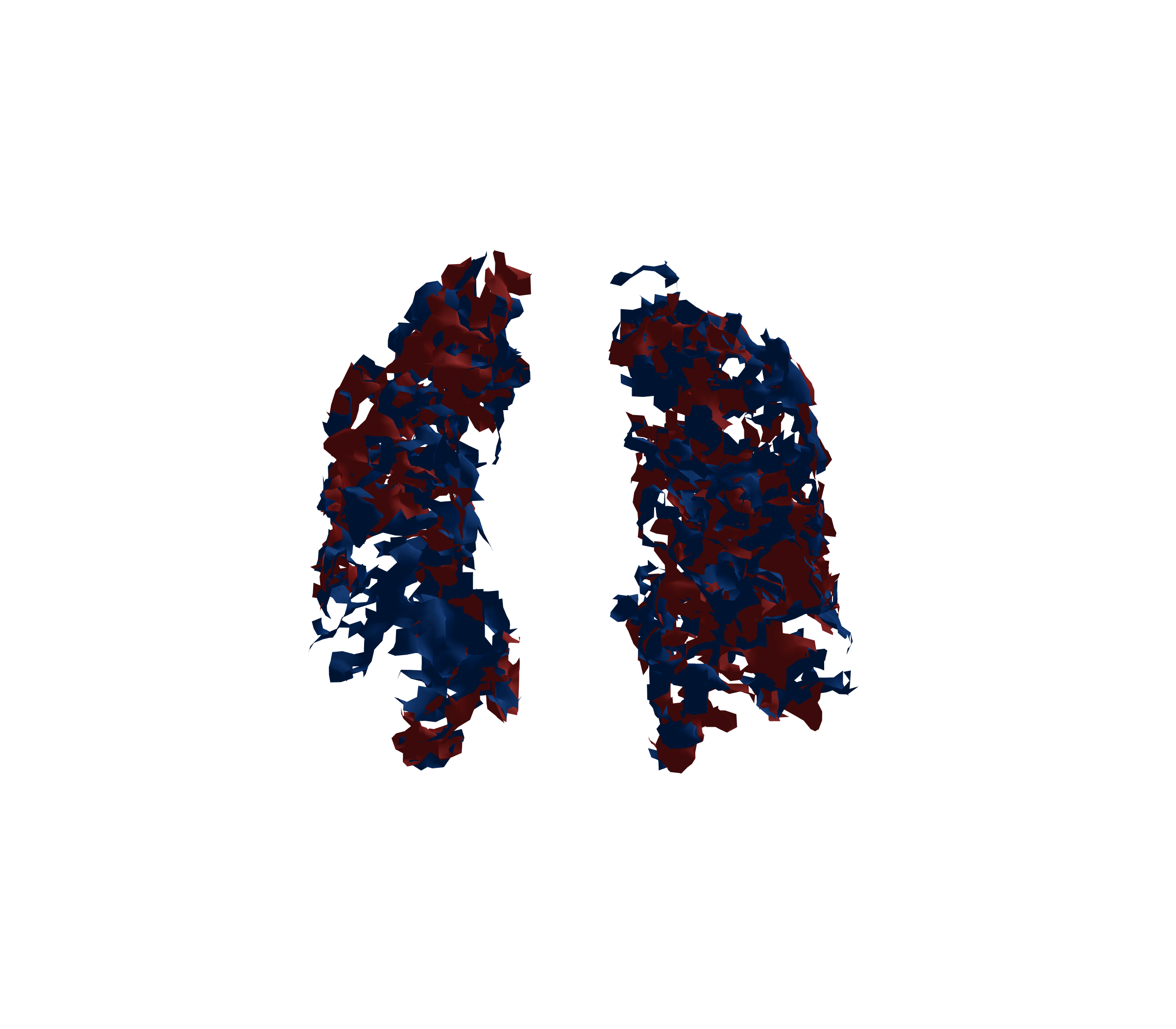 Surface Mesh - Front View