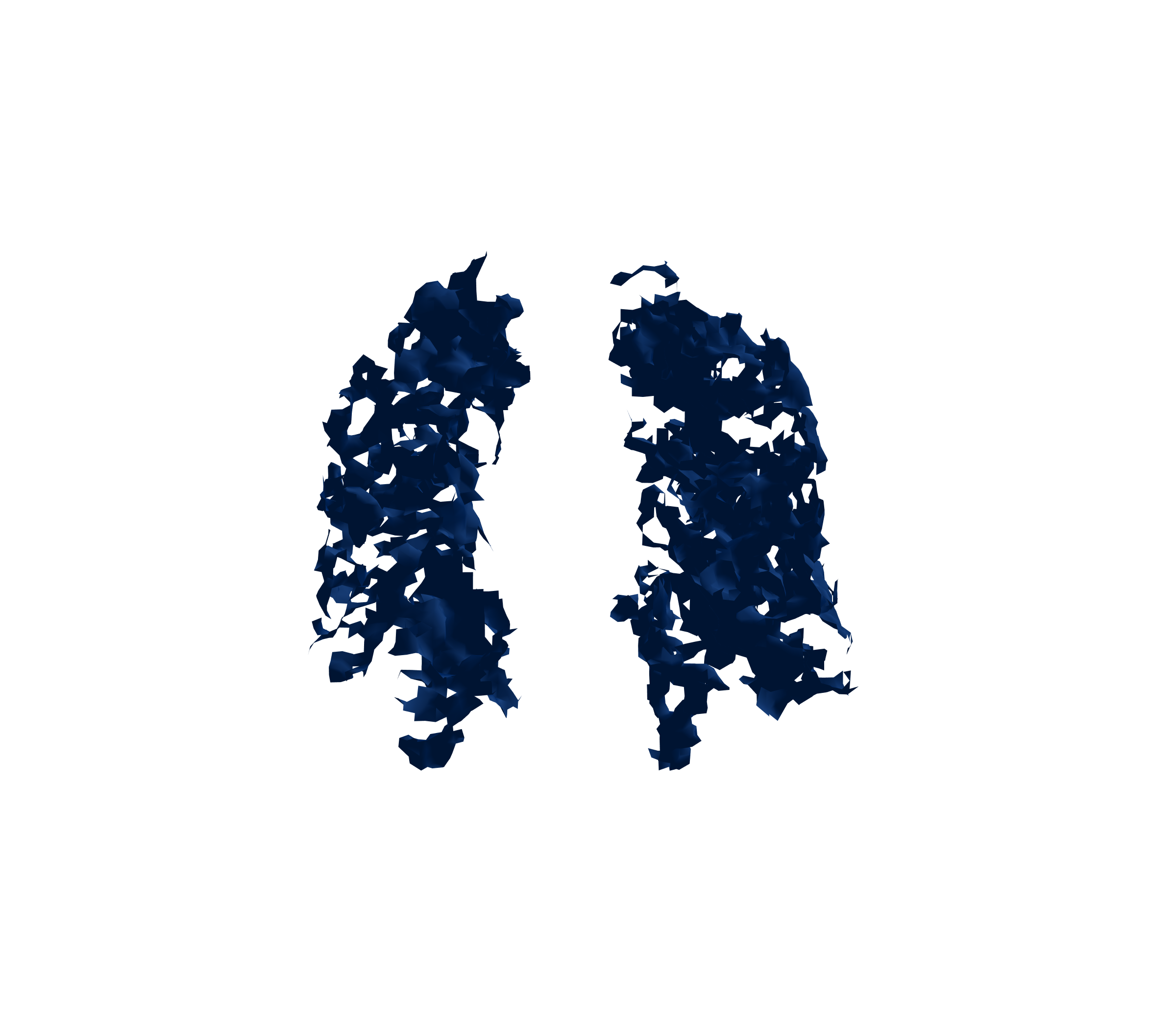 Surface Mesh (Inspiration) - Front View