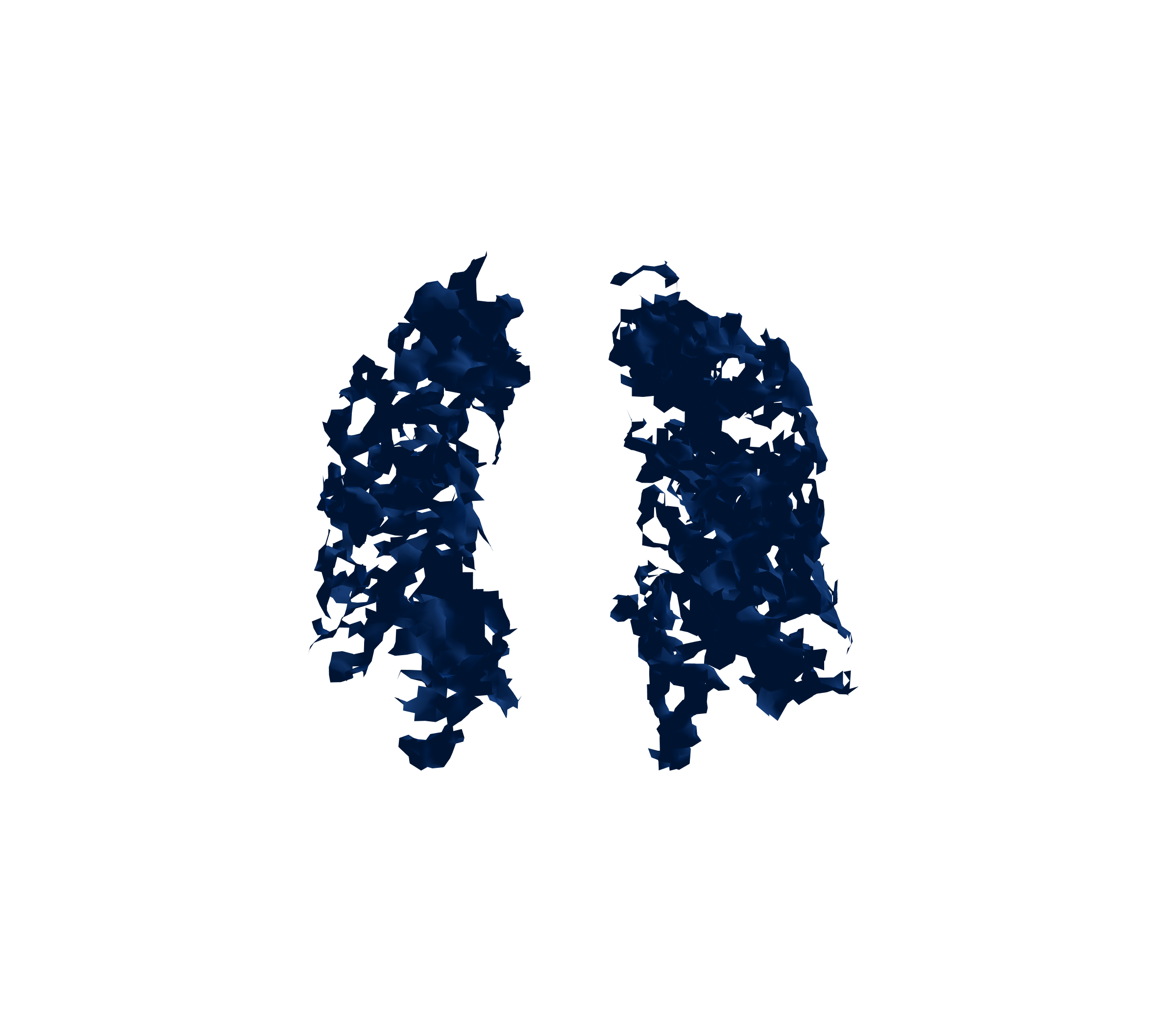 Surface Mesh (Inspiration) - Front View