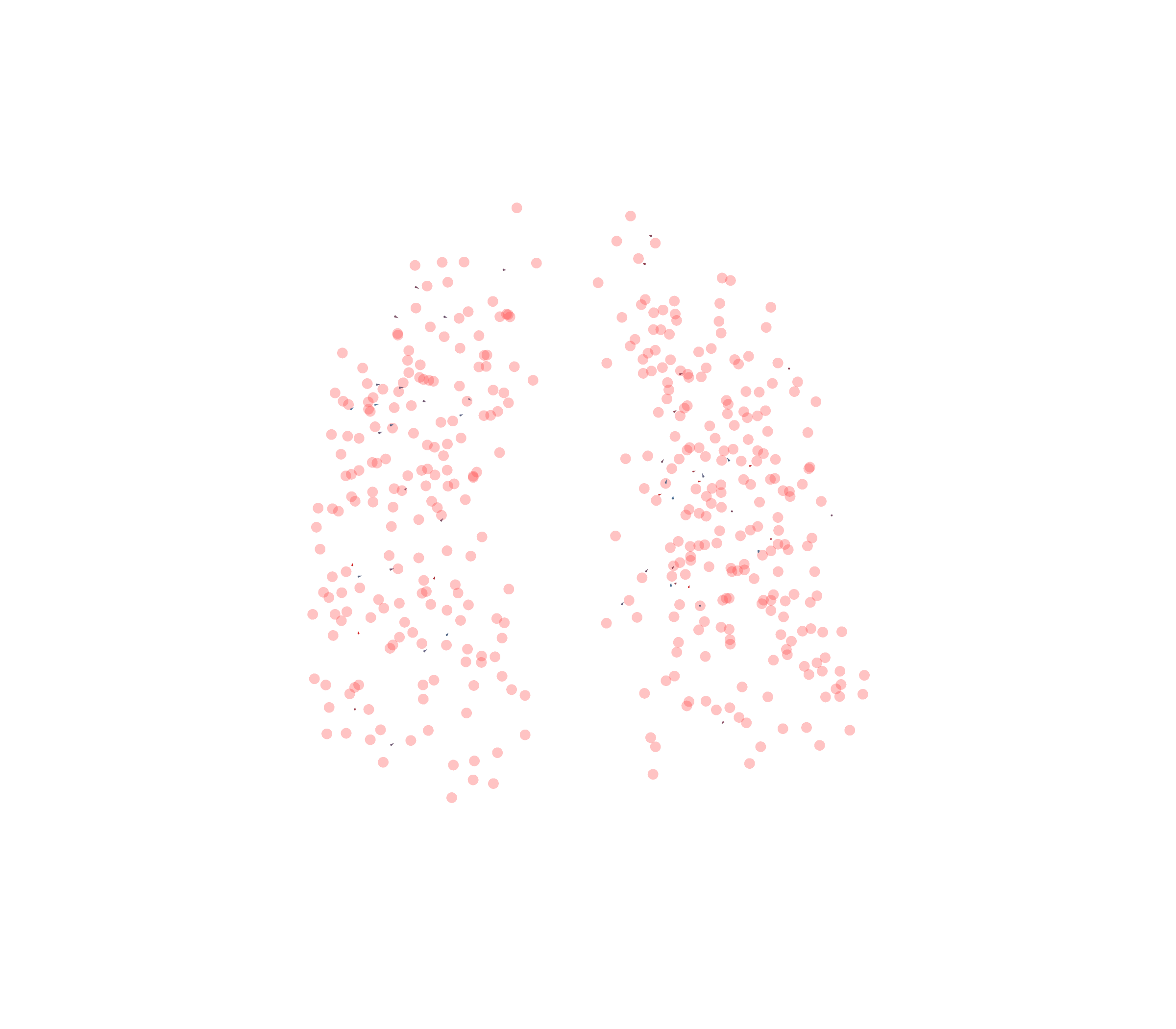 Displacement Vectors - Front View