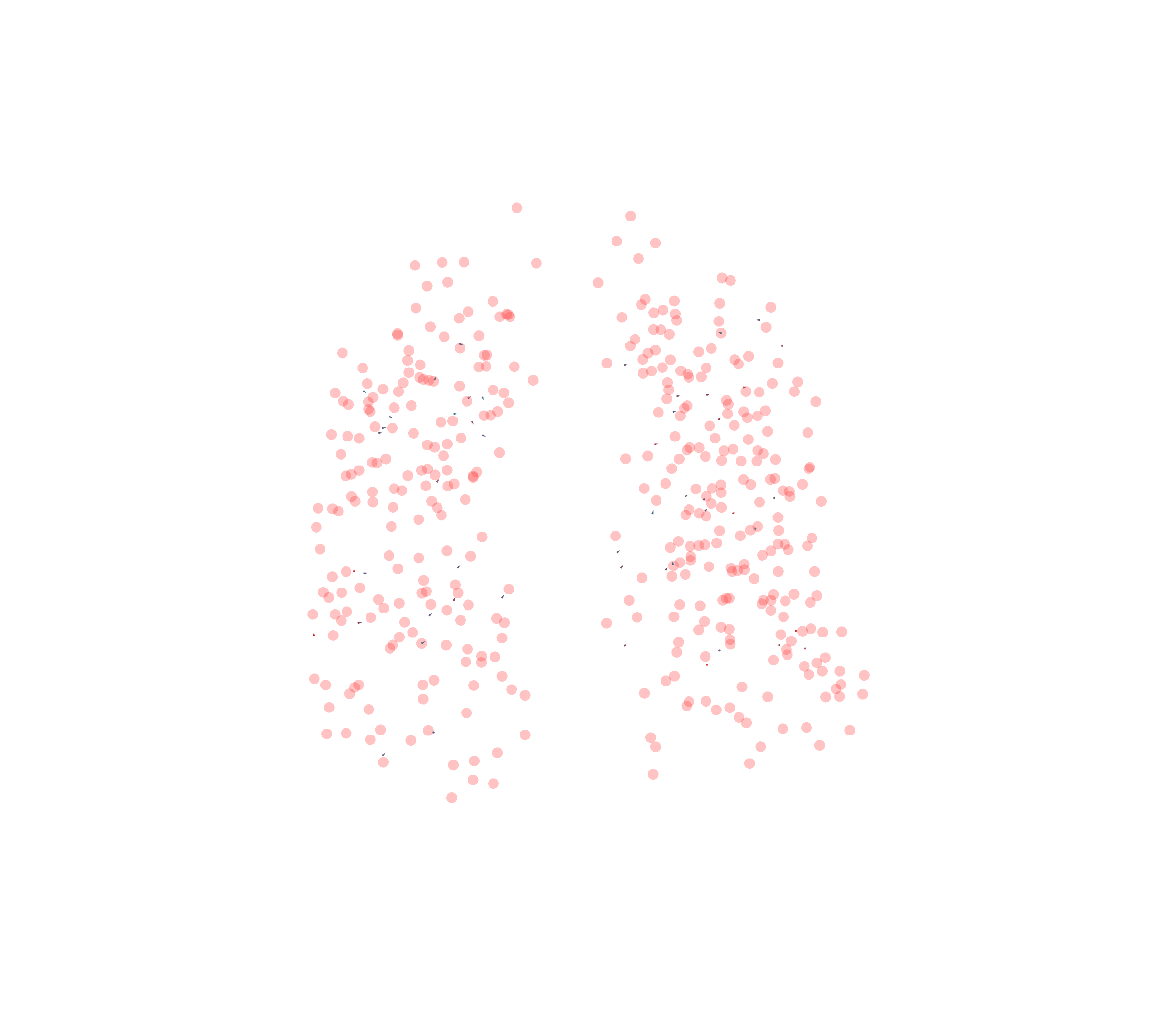 Displacement Vectors - Front View