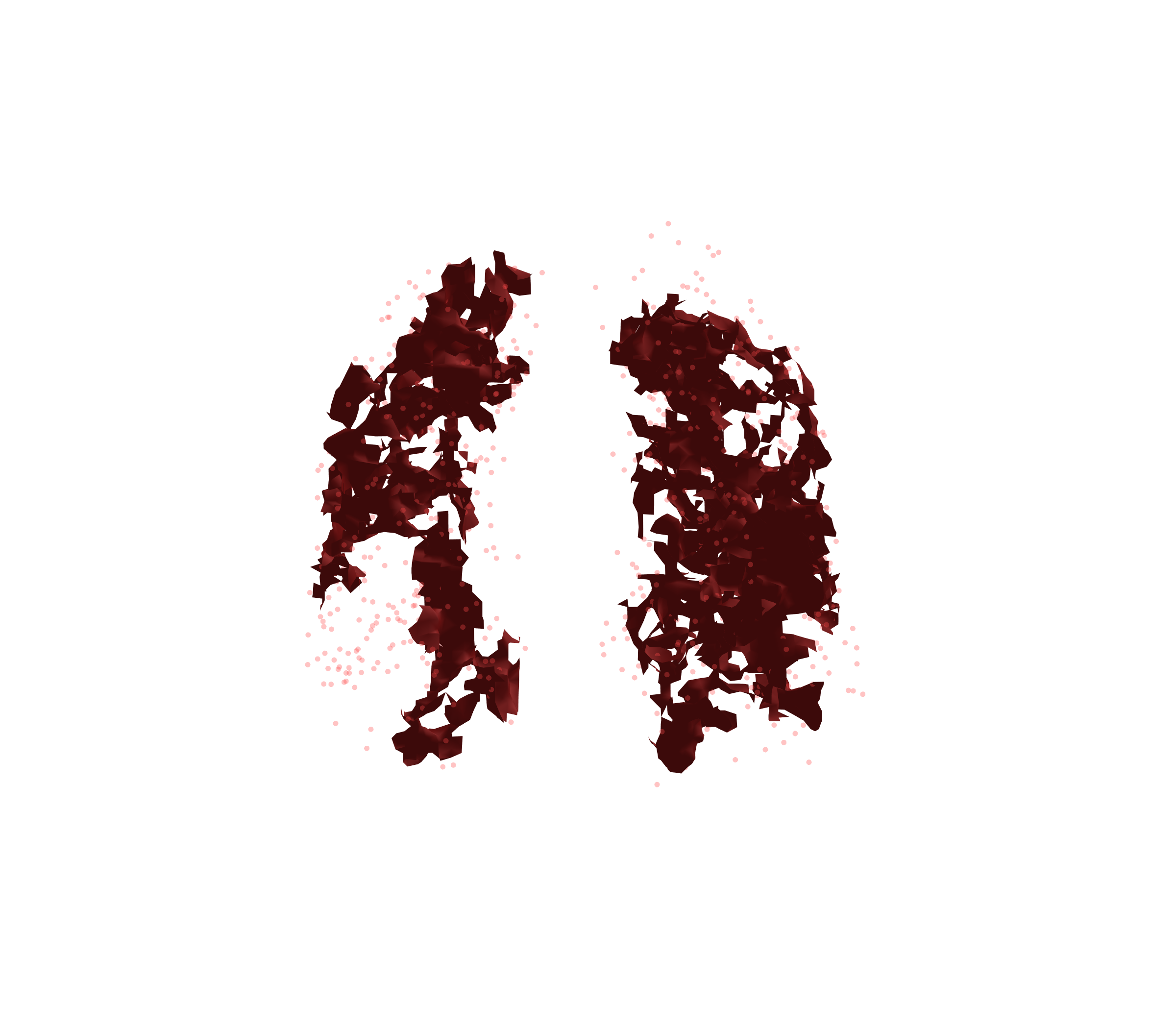 Combined Visualization (Expiration) - Front View