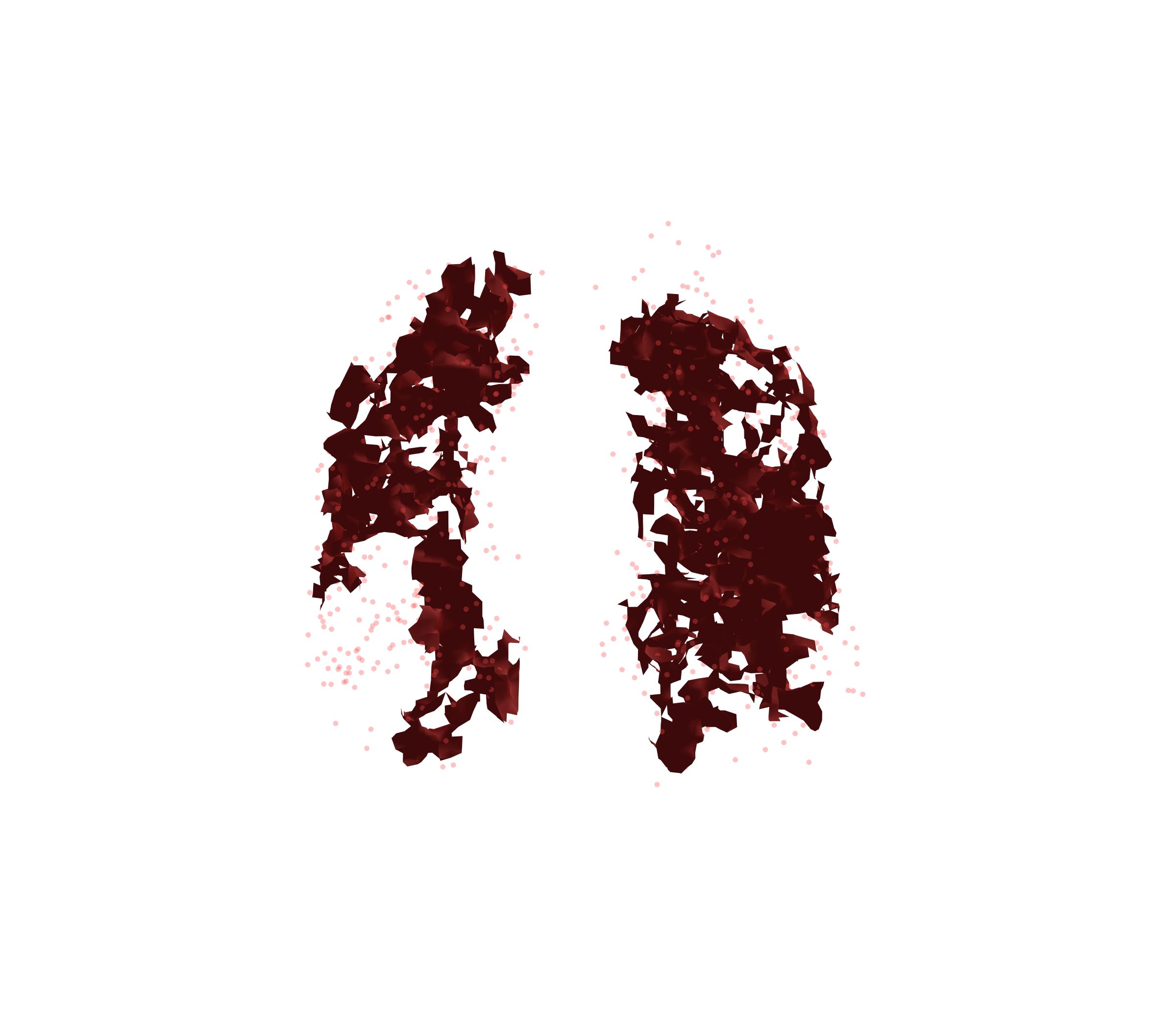 Combined Visualization (Expiration) - Front View