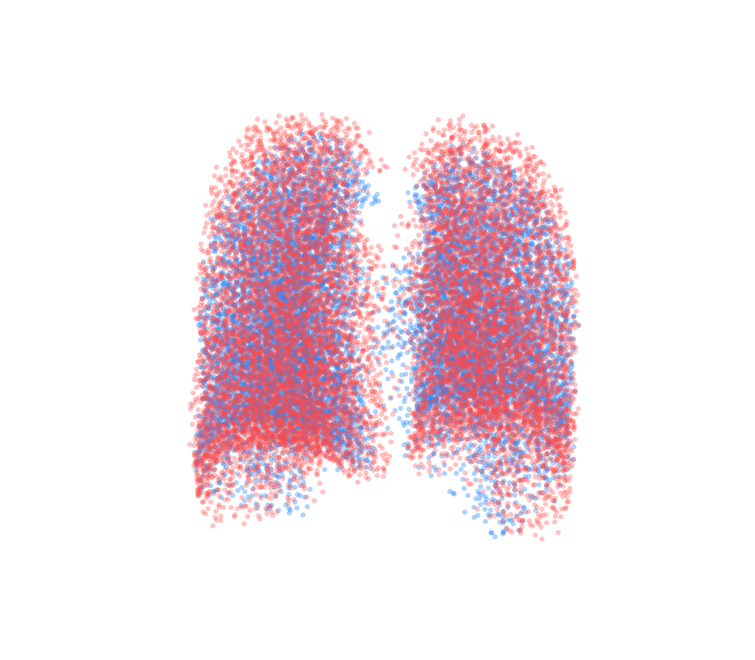 Point Cloud - Back View