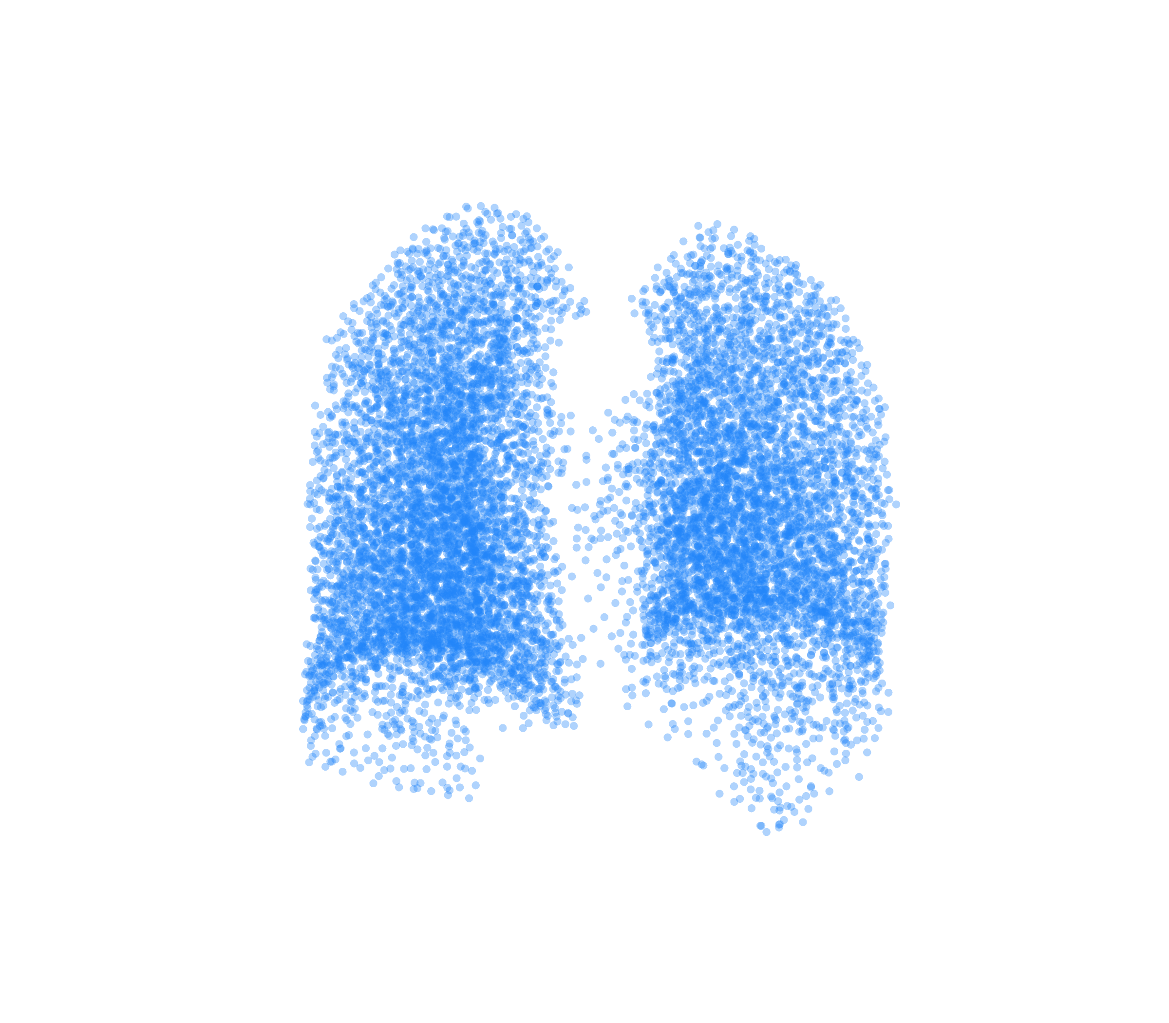 Point Cloud (Inspiration) - Back View