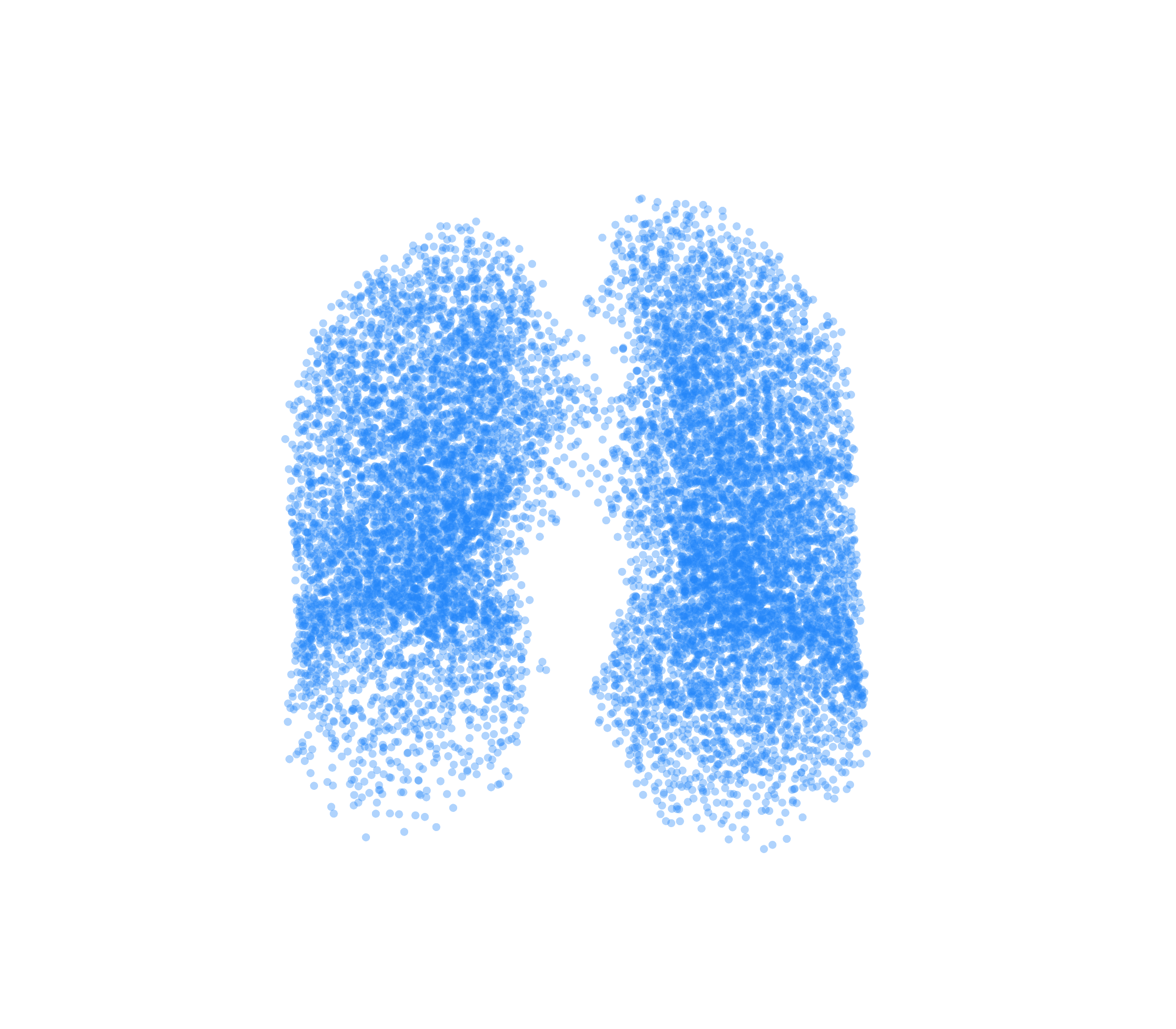 Point Cloud (Inspiration) - Front View