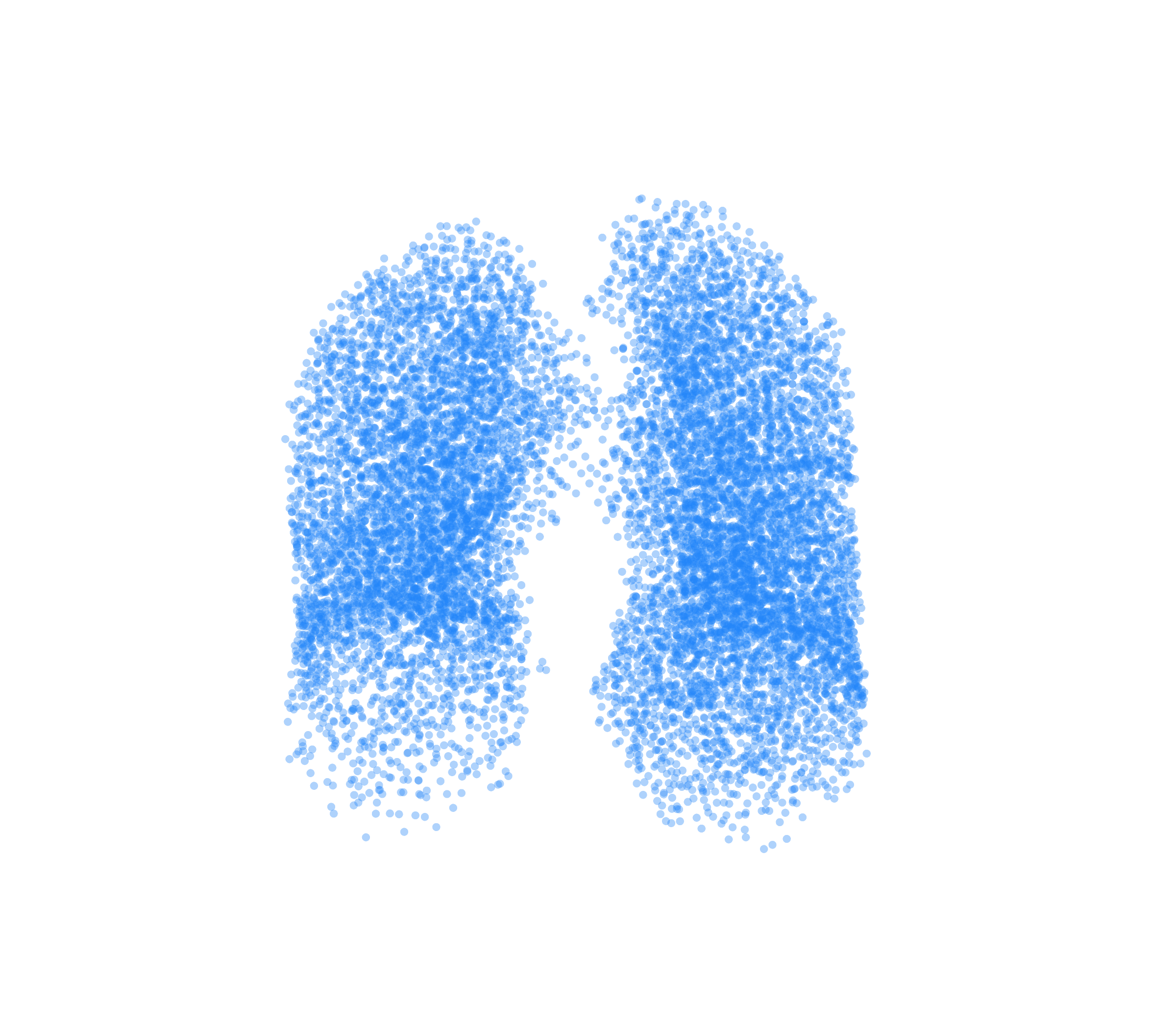 Point Cloud (Inspiration) - Front View